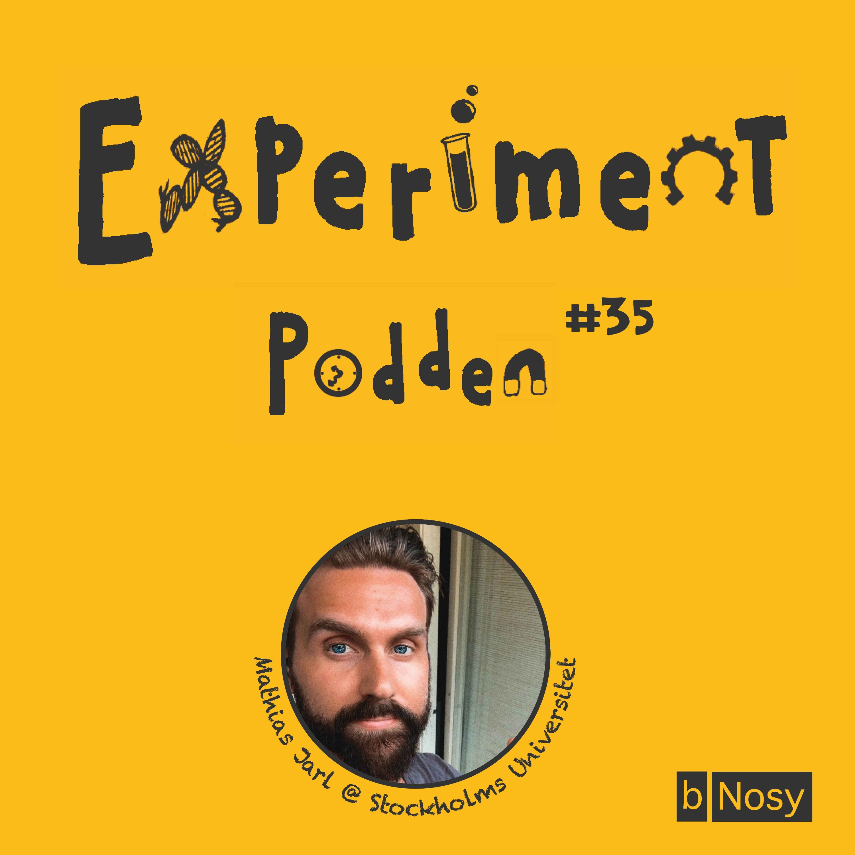 Experimentpodden