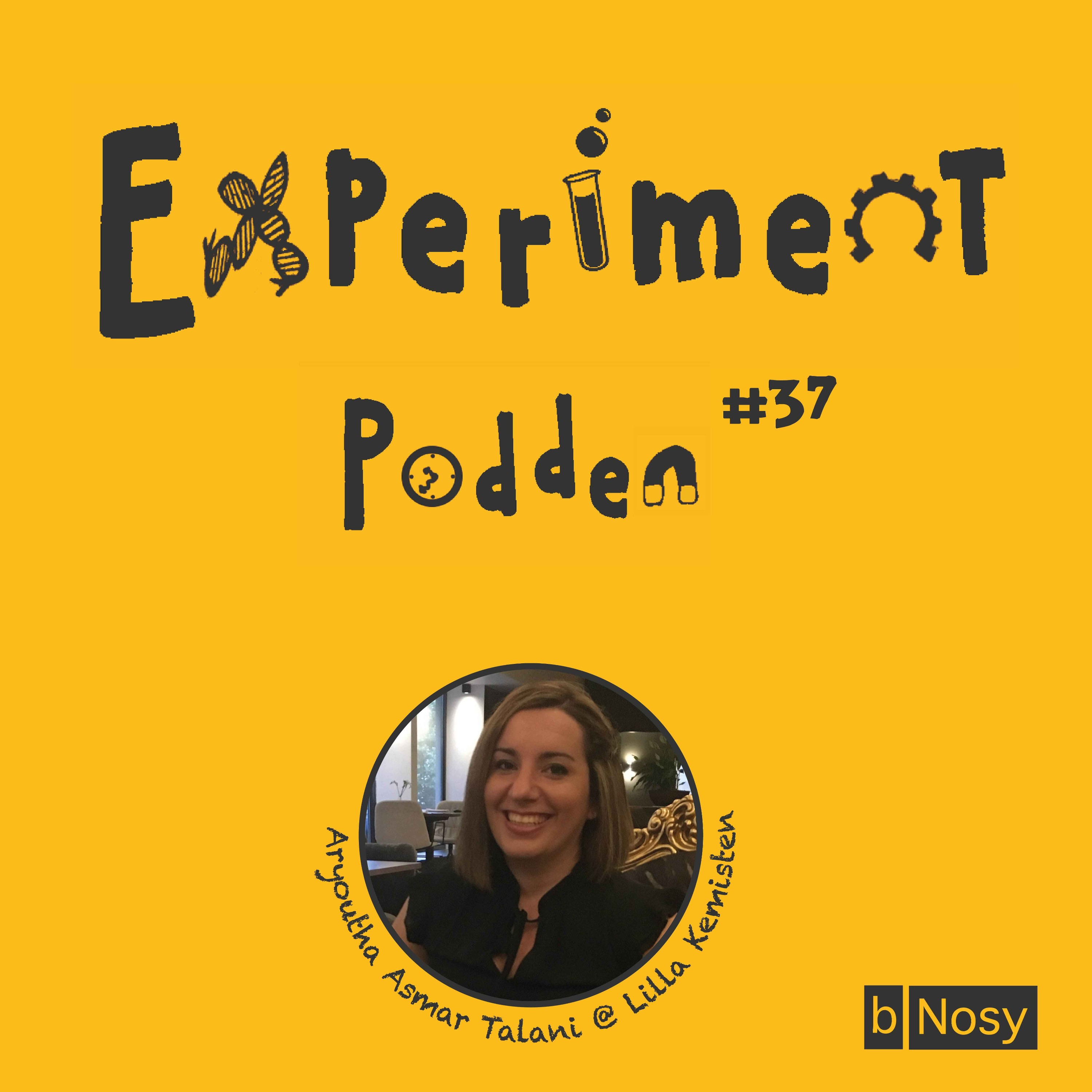 Experimentpodden