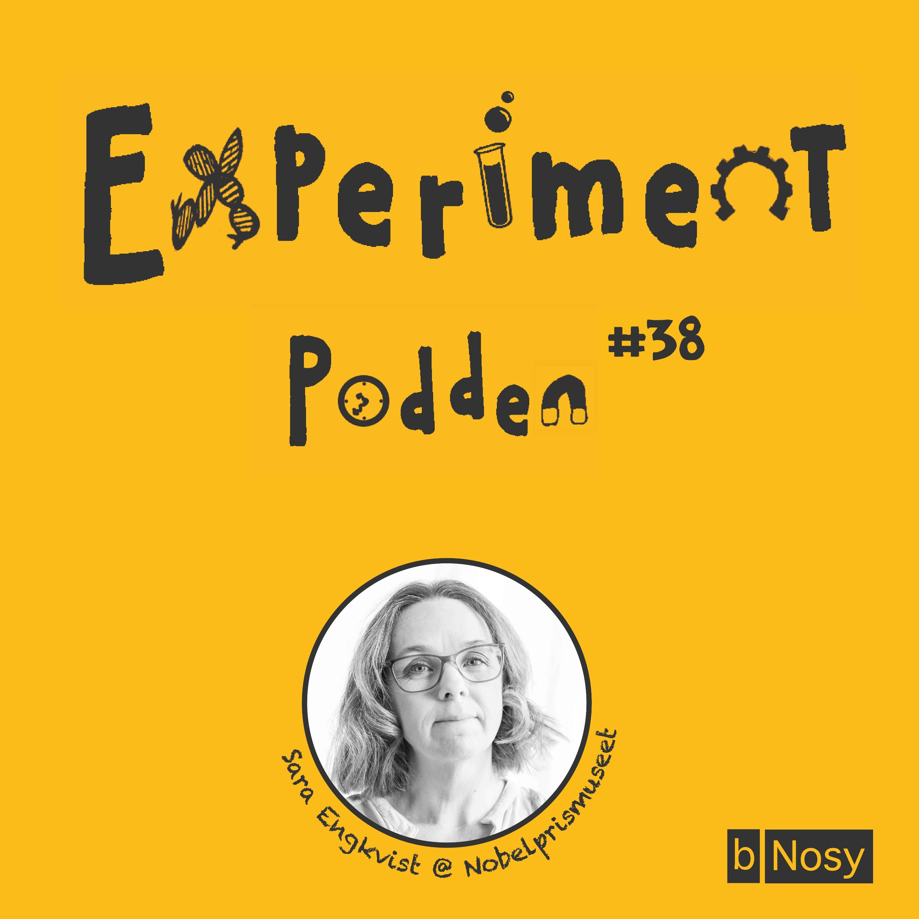 Experimentpodden
