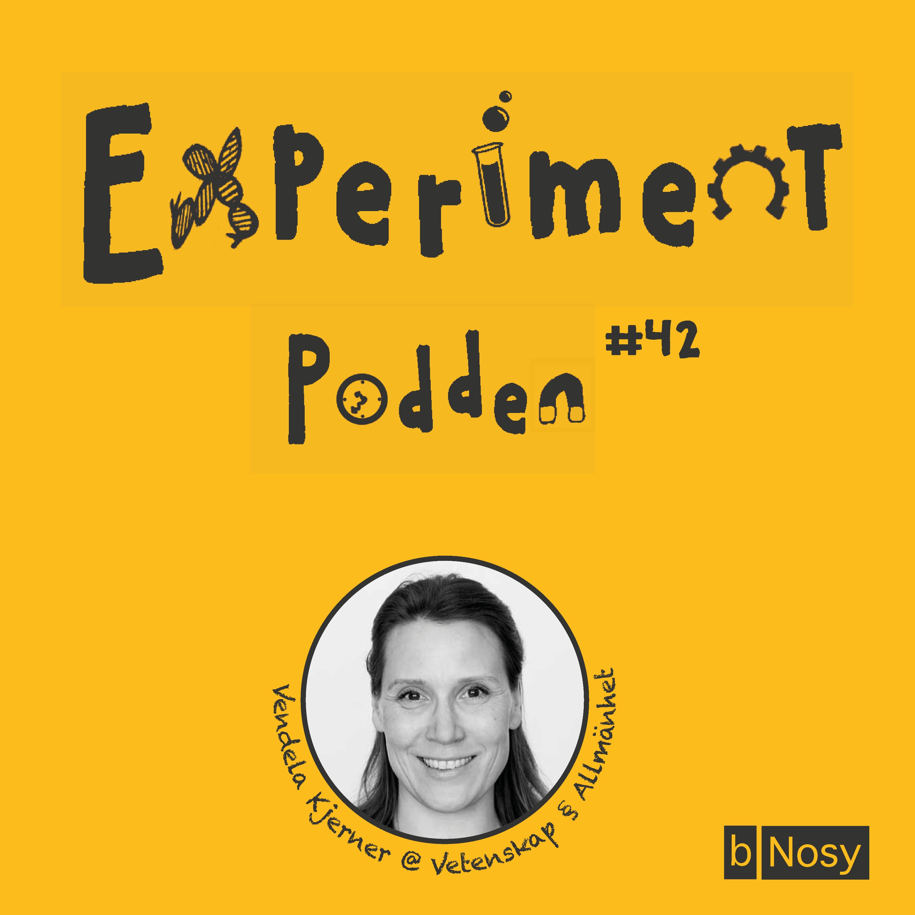 Experimentpodden
