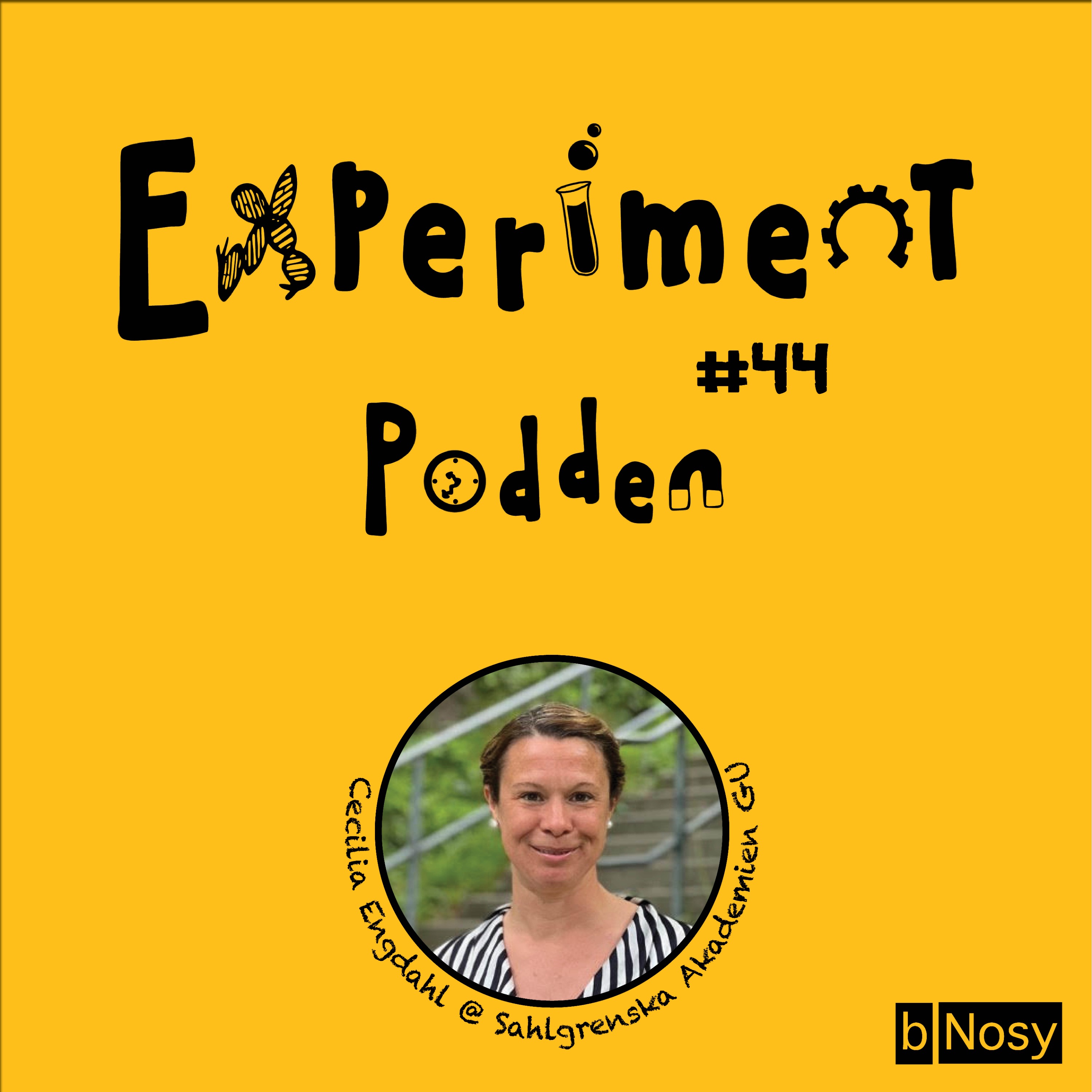 Experimentpodden