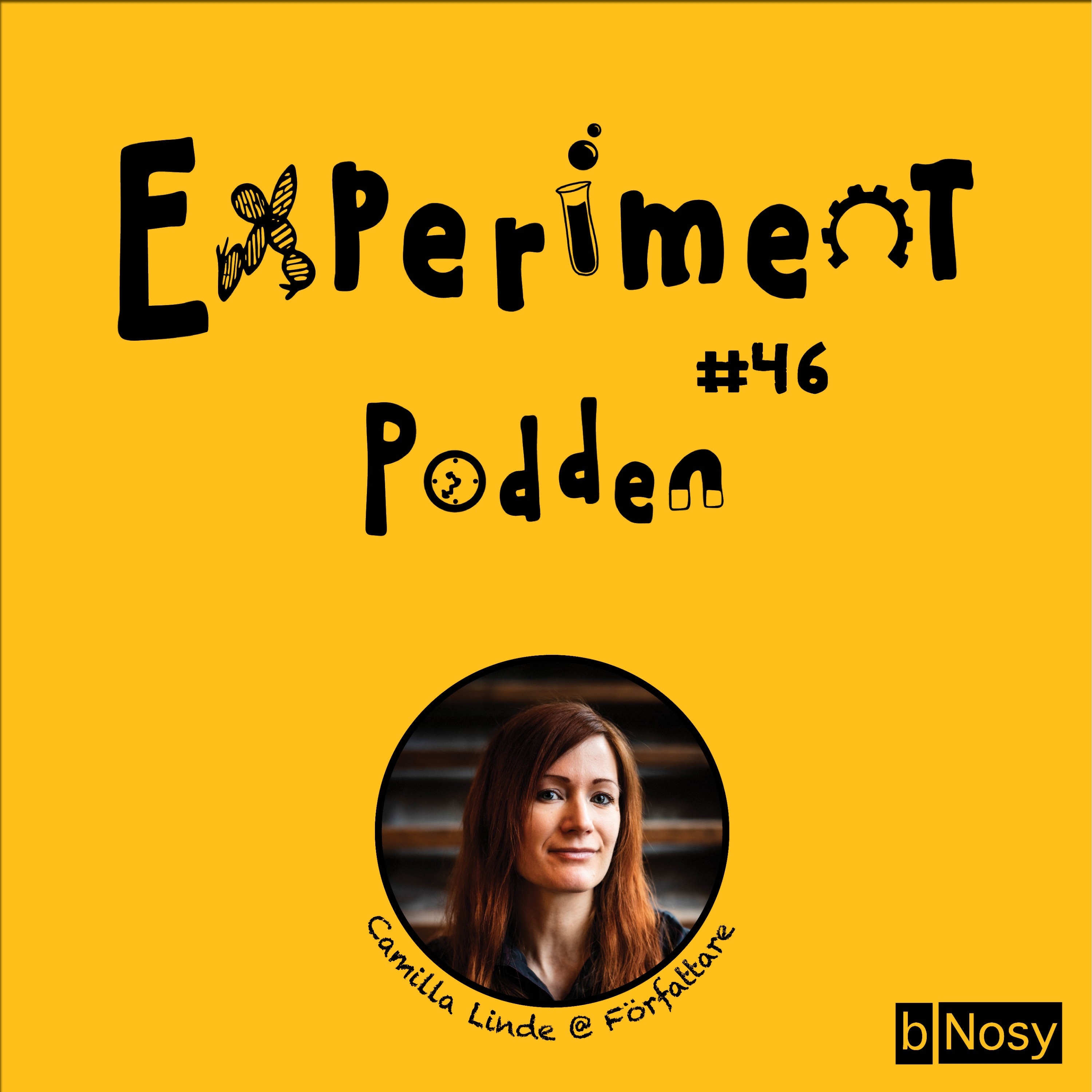 Experimentpodden