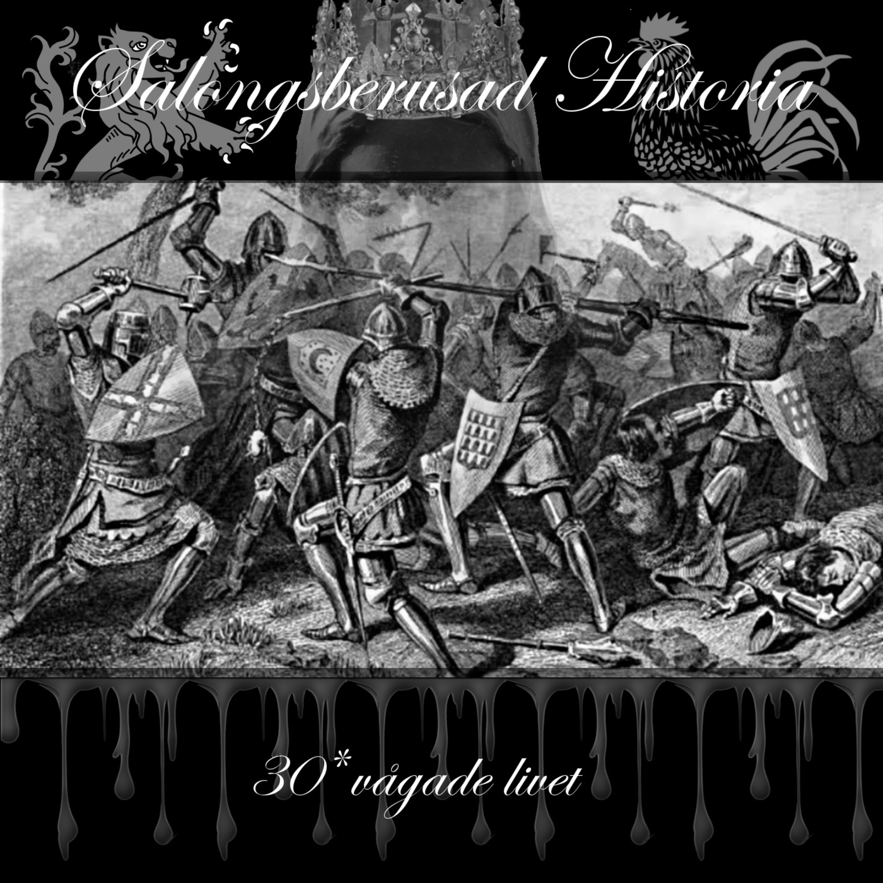 Salongsberusad Historia