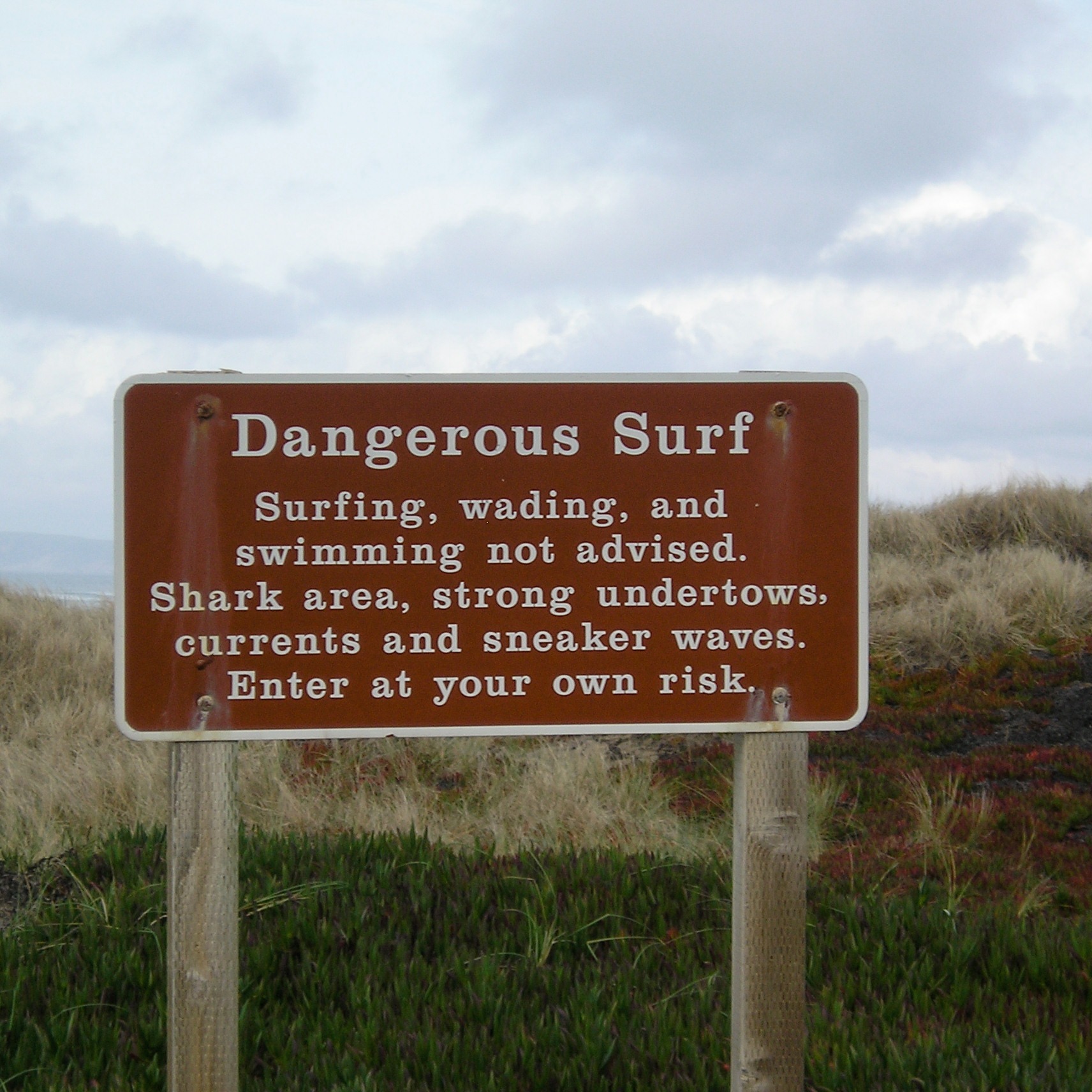 Booming surf at Point Reyes National Seashore episode artwork