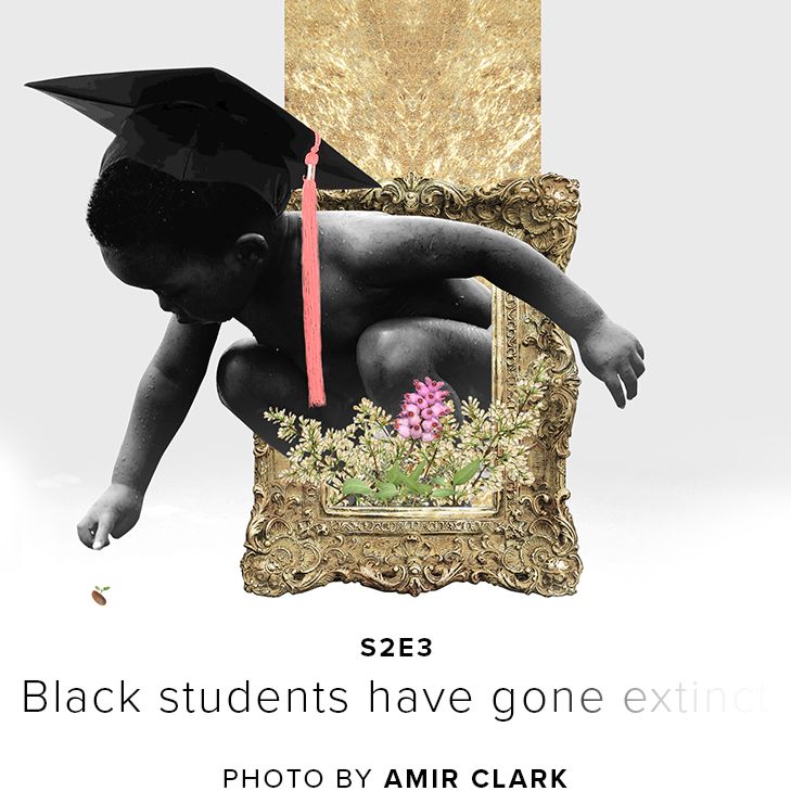 cover art for s2e3 - Black Students Have Gone Extinct