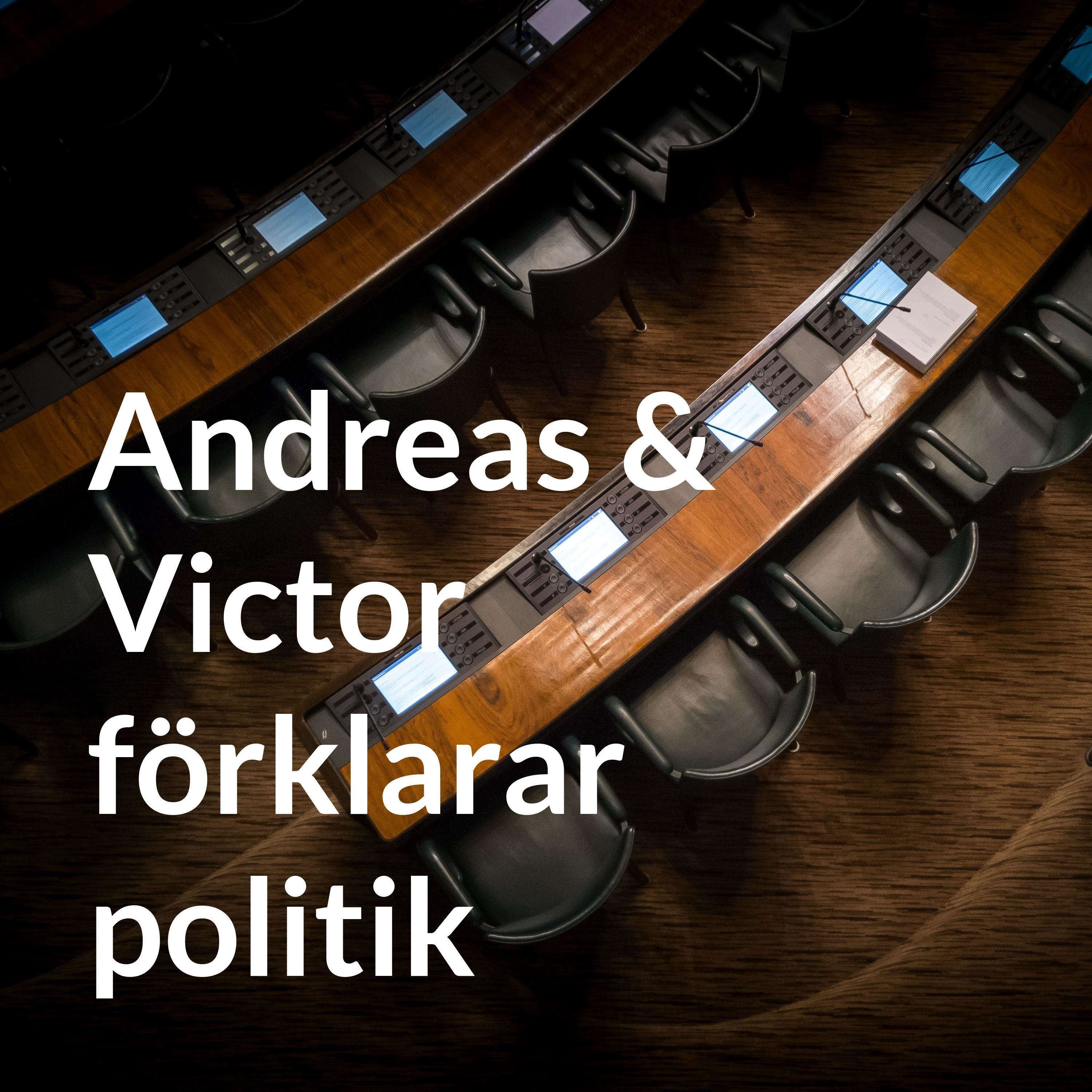 cover art for Hur är det att vara ny riksdagsledamot? Intervju med Malin Danielsson
