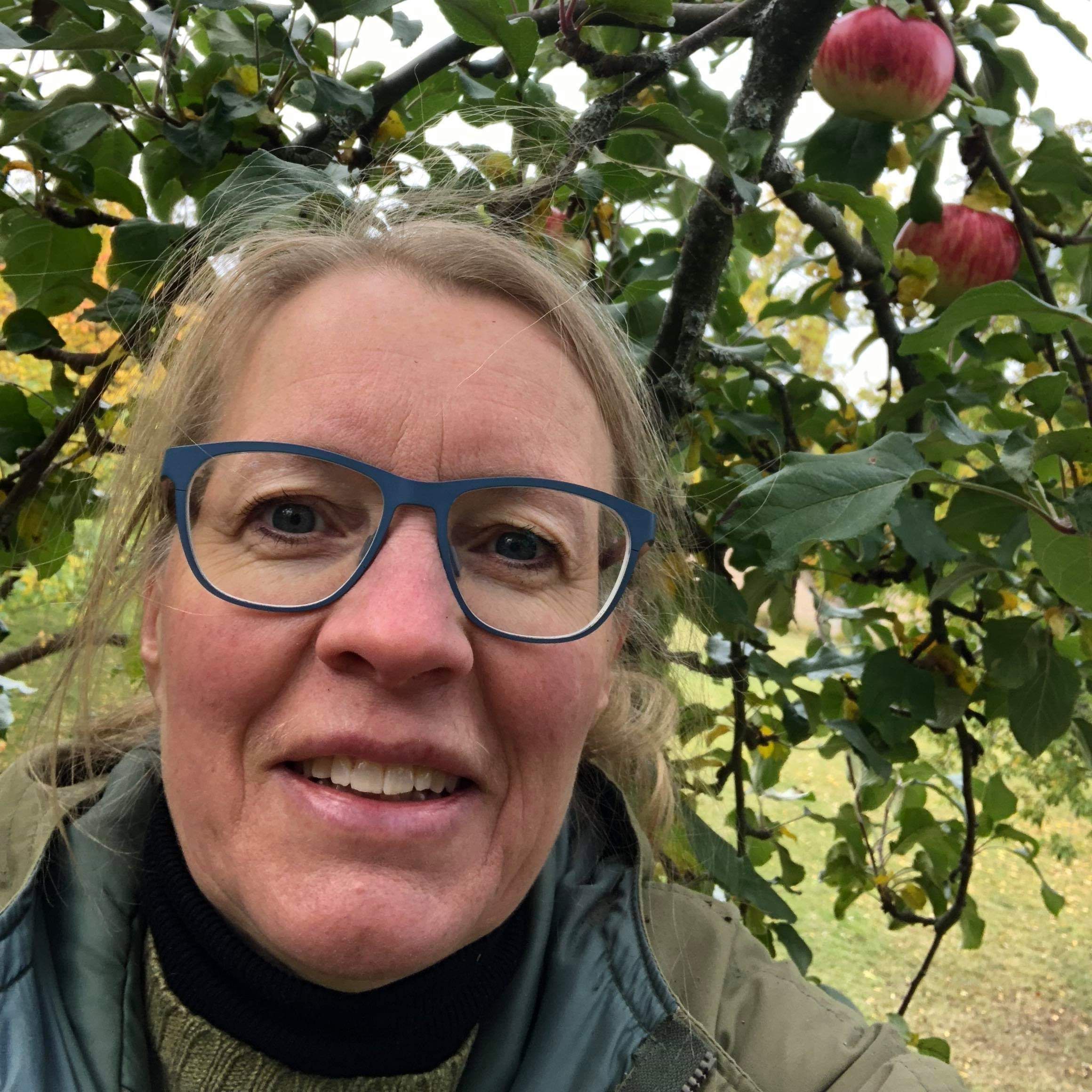 Inspiratörerna