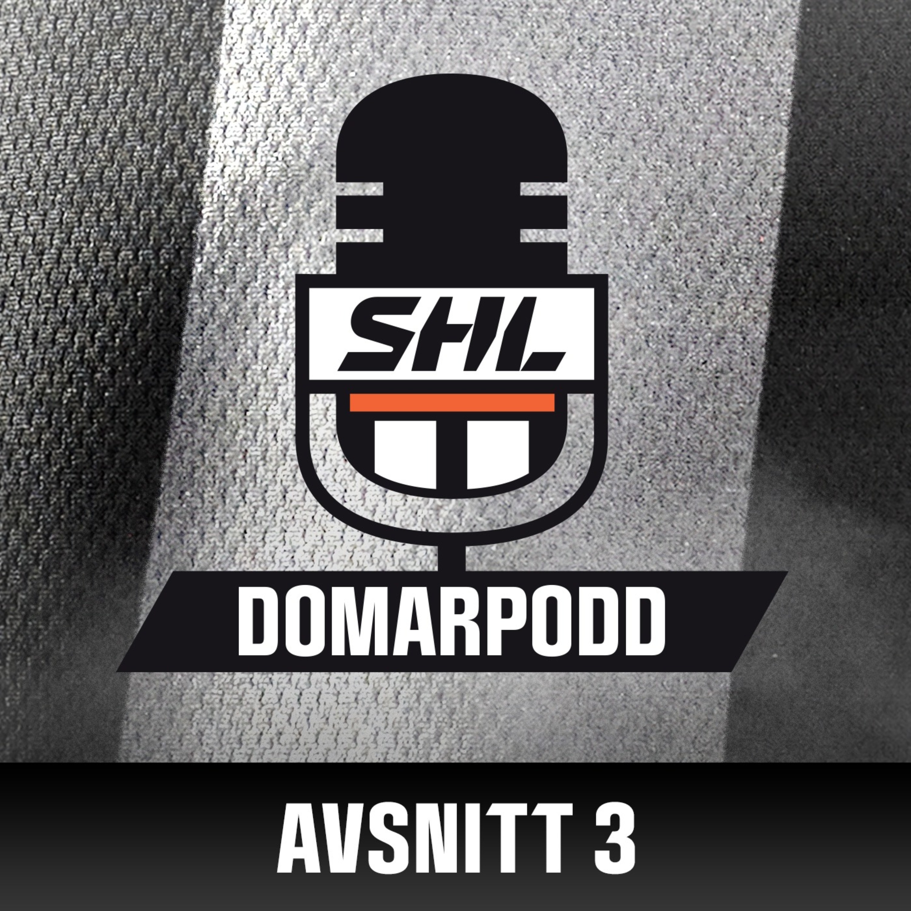 SHL:s Domarpodd