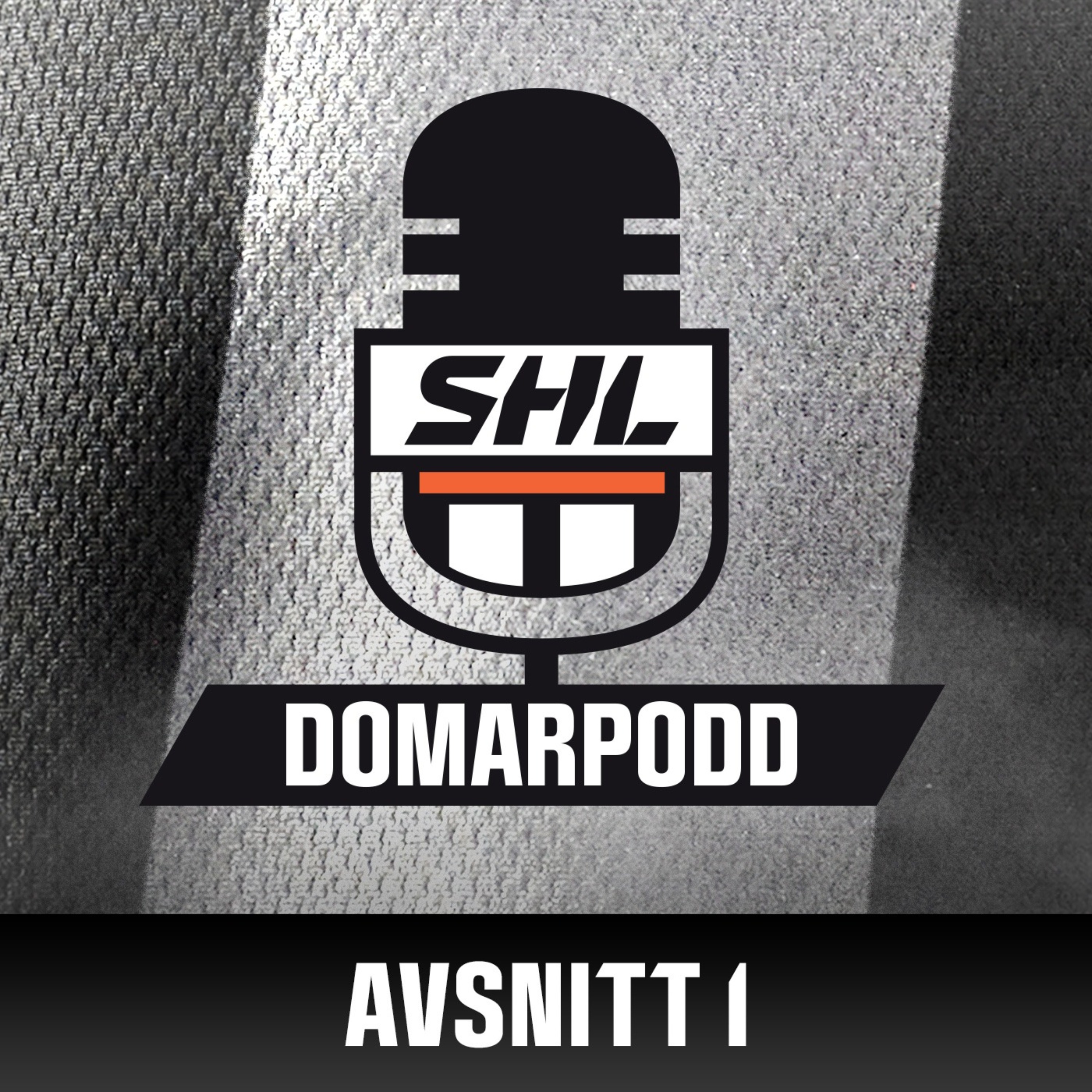 SHL:s Domarpodd