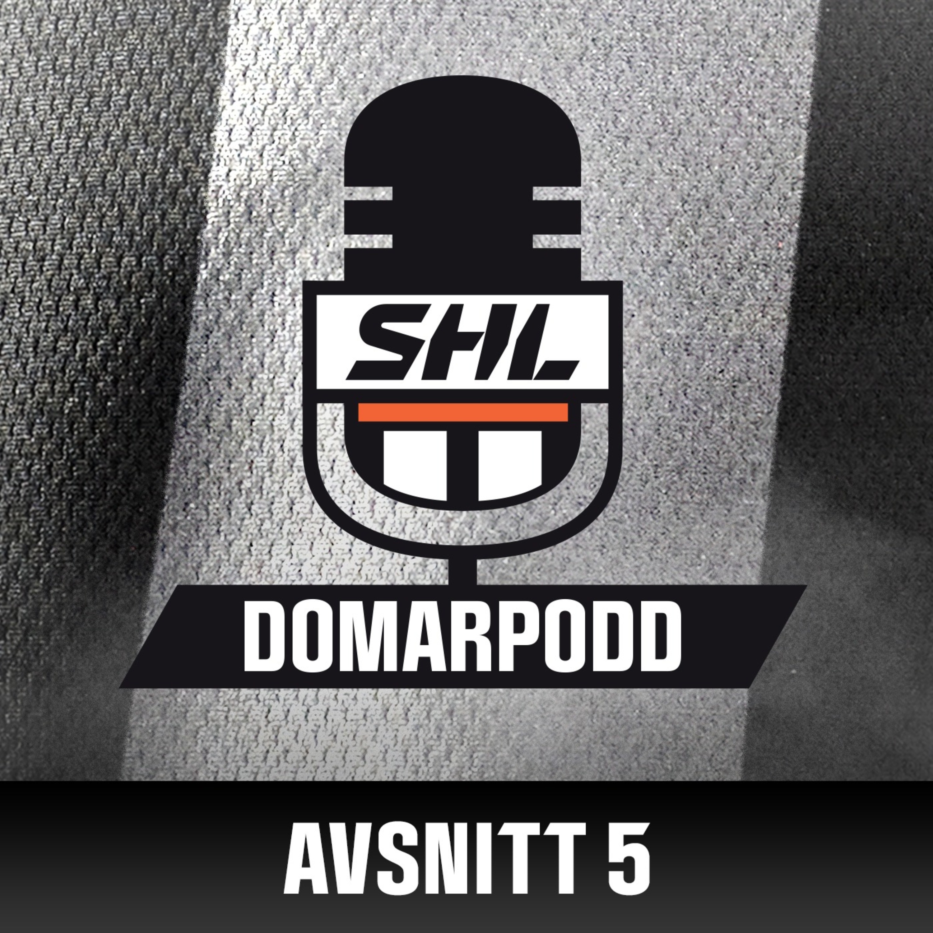 SHL:s Domarpodd