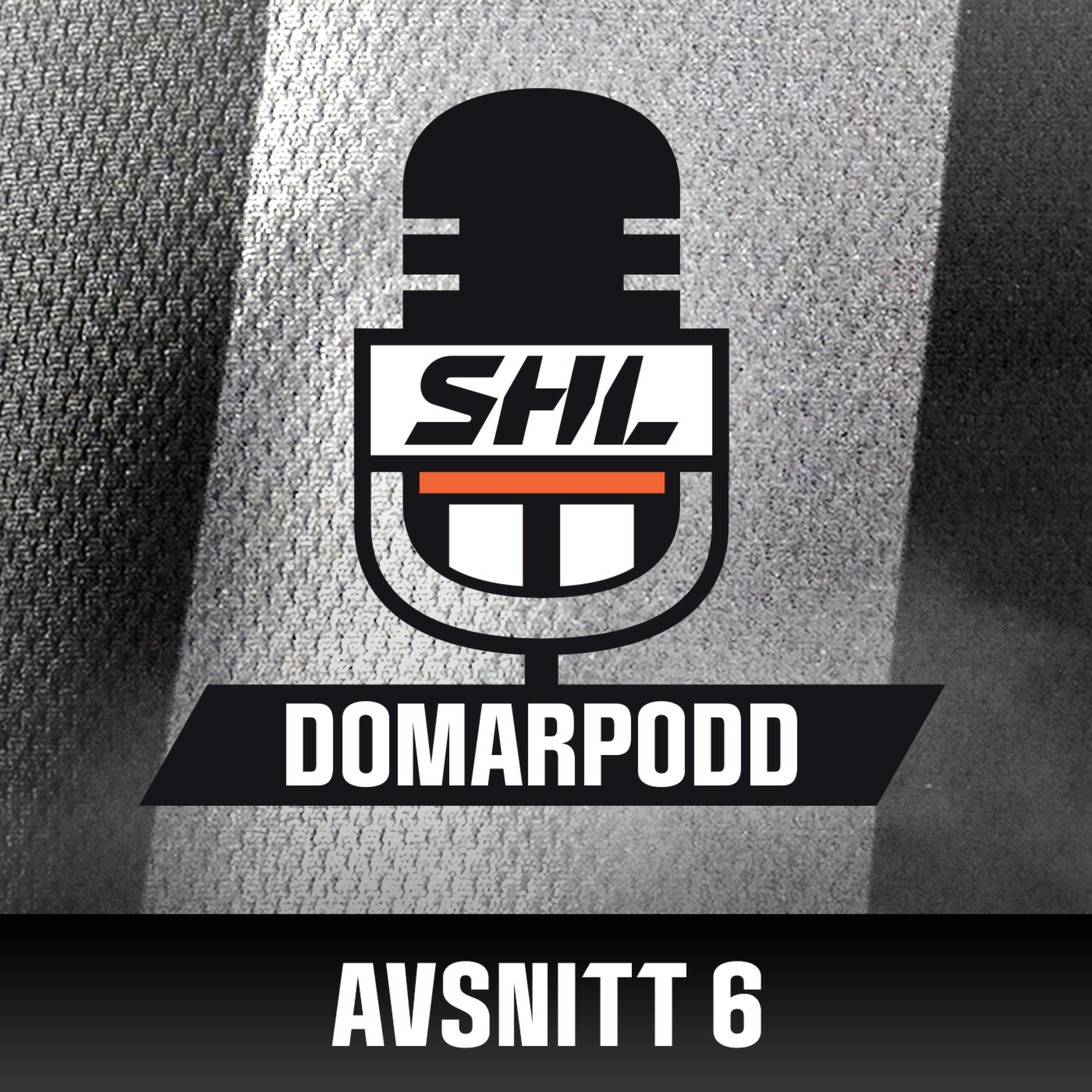 SHL:s Domarpodd