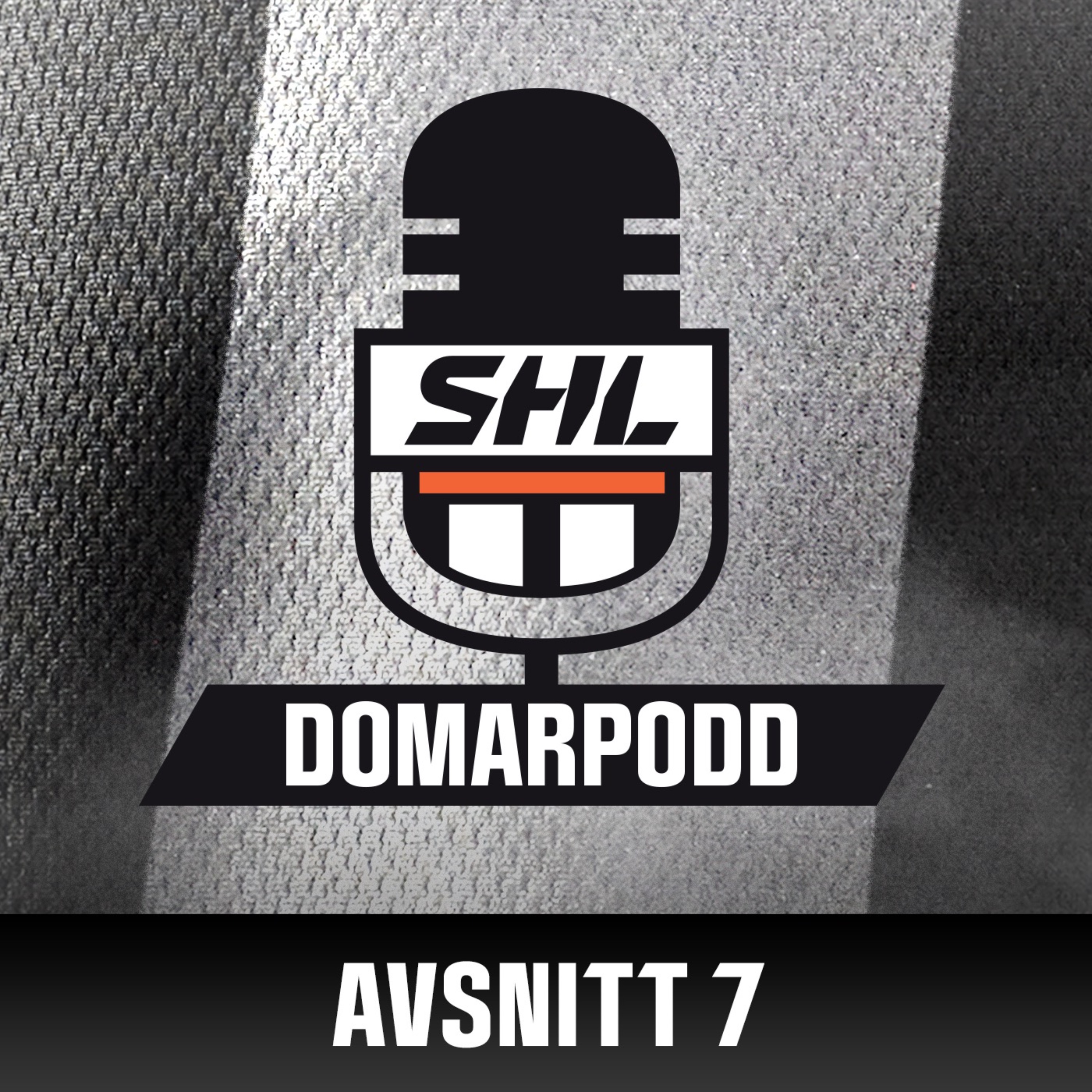 SHL:s Domarpodd