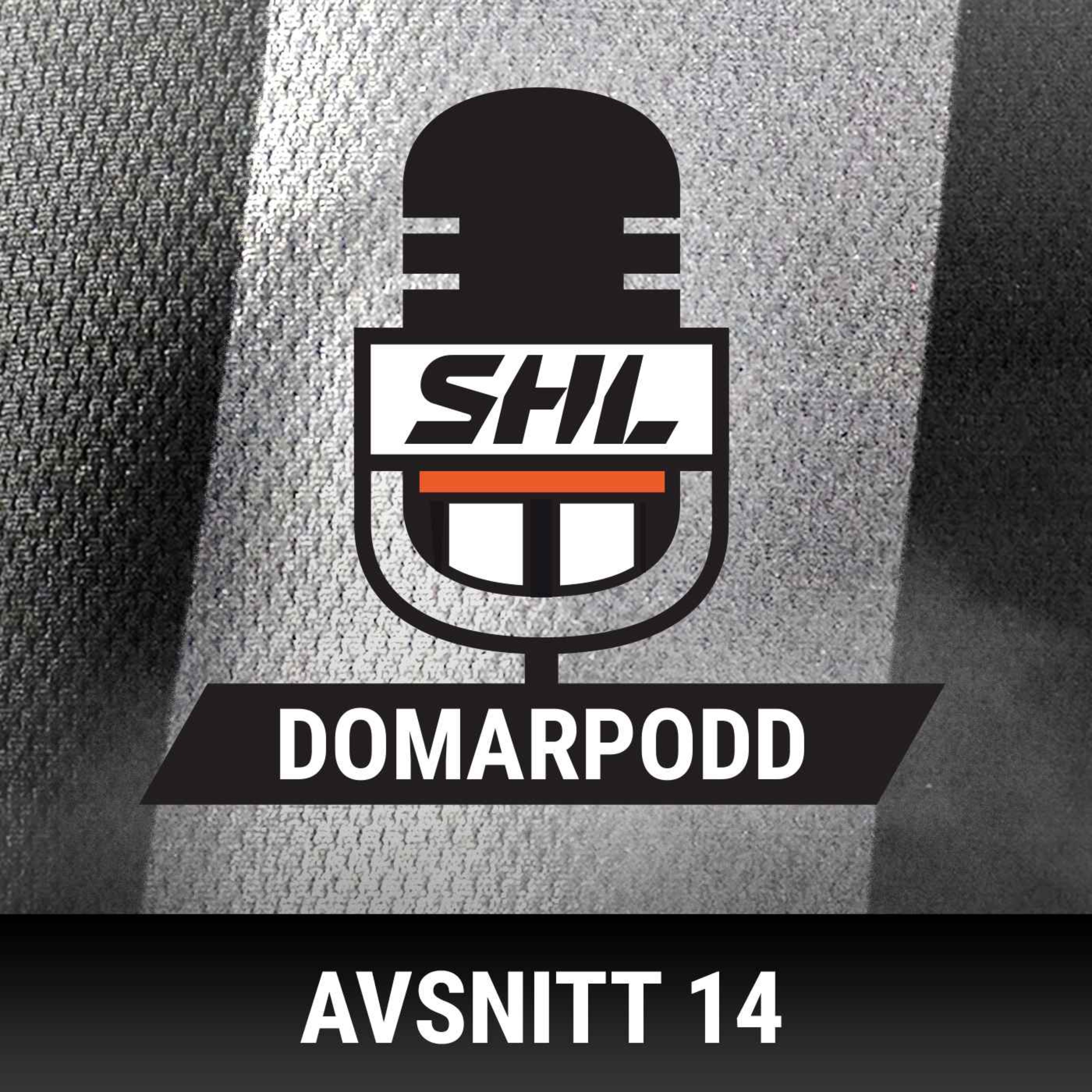 SHL:s Domarpodd
