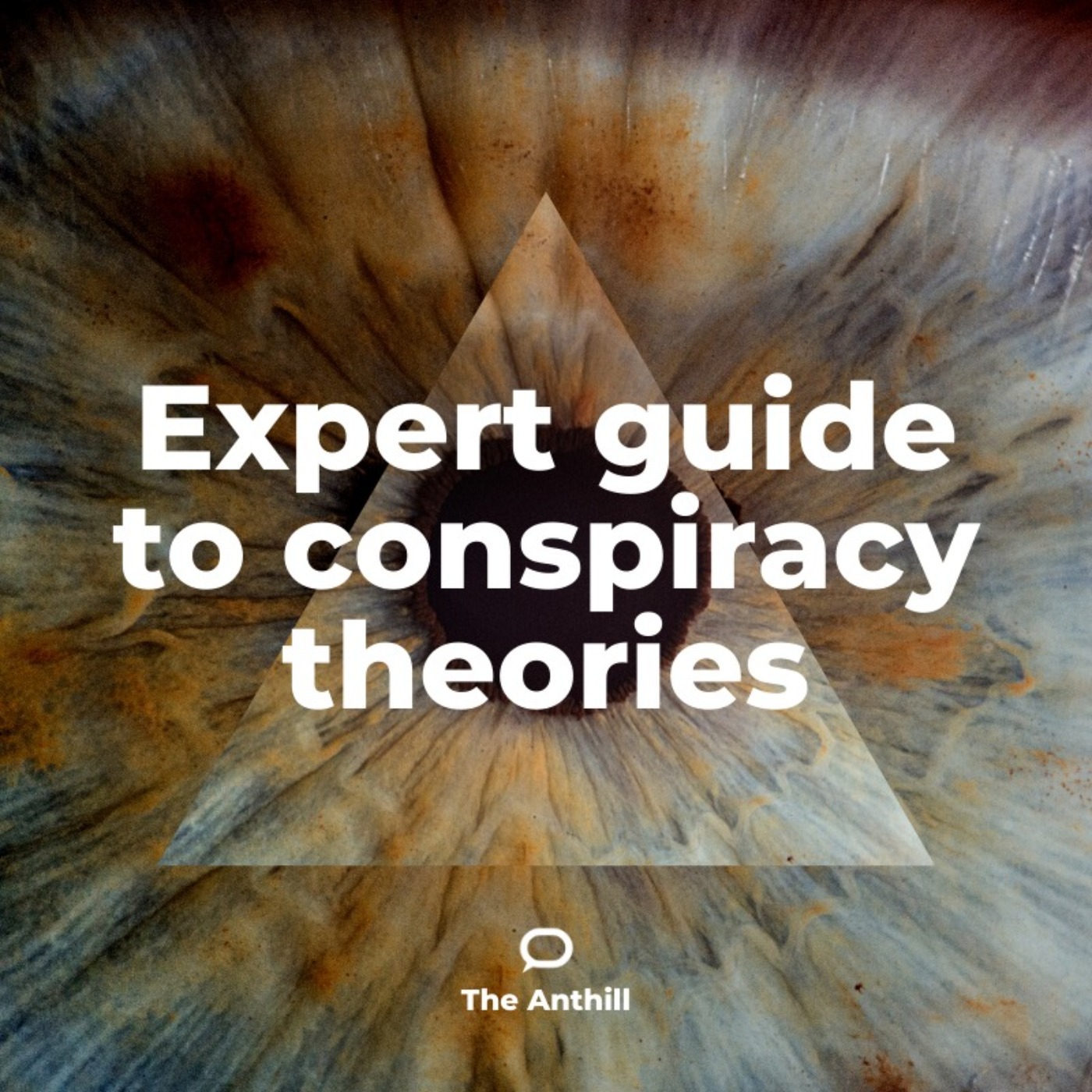 cover art for Expert guide to conspiracy theories part 1 – how to spot one
