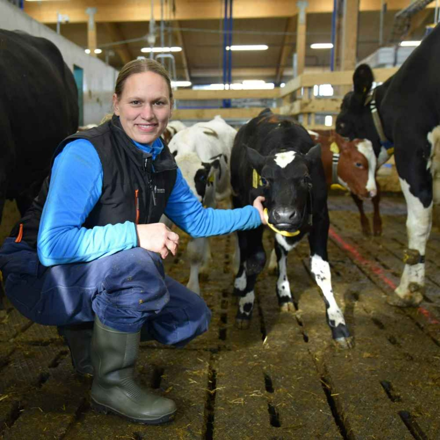 VETpodden