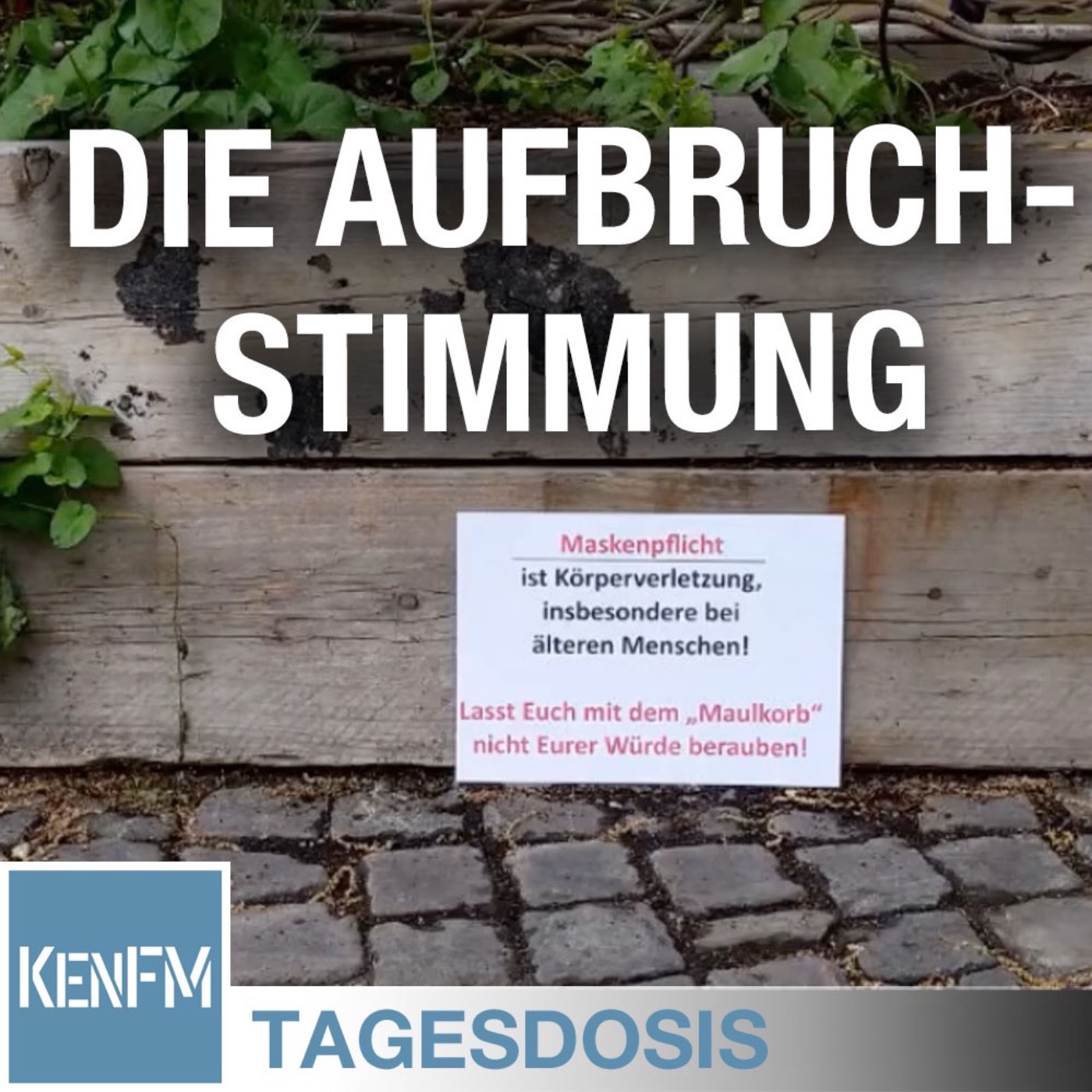 Tagesdosis 7.5.2020 - Die Aufbruchstimmung
