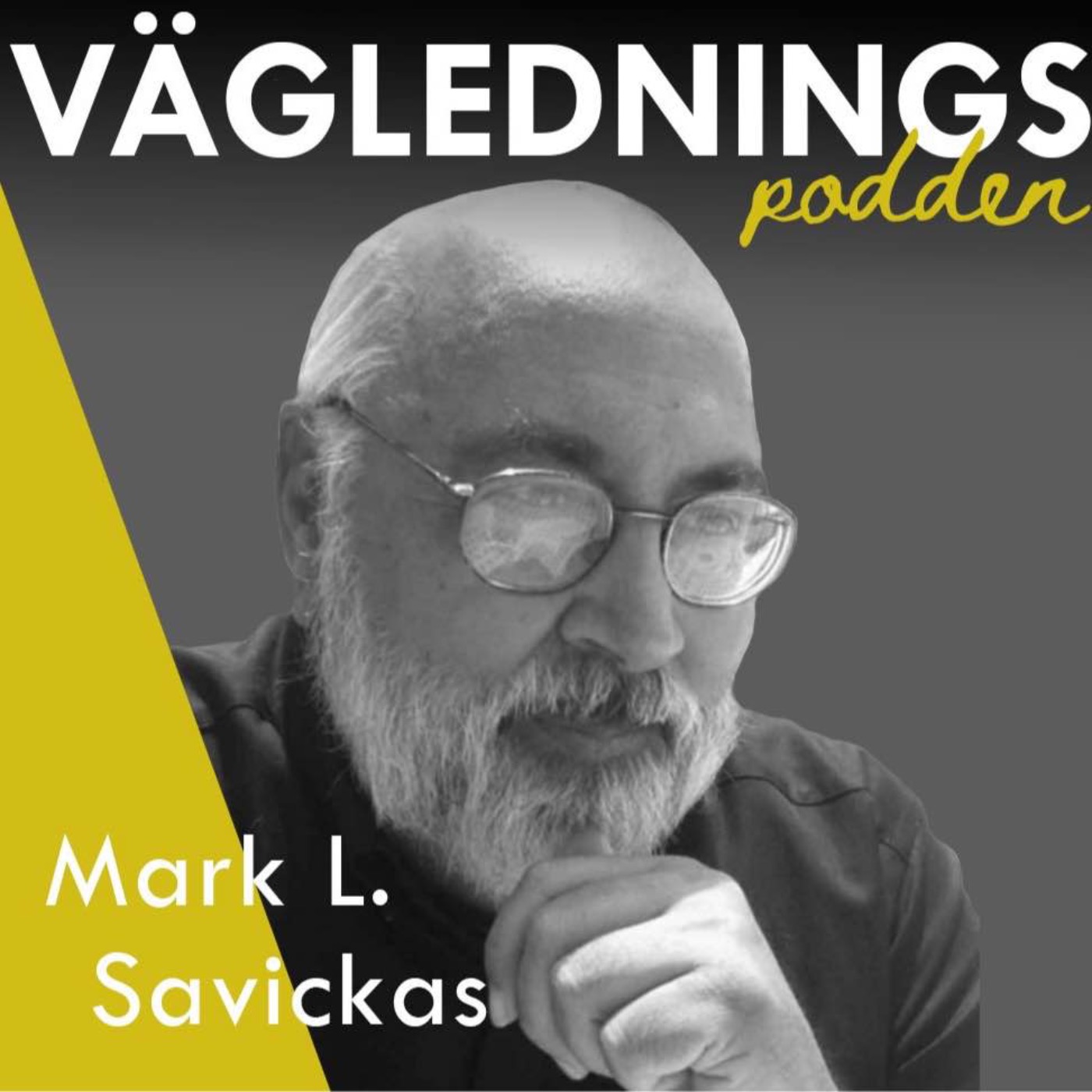 Avsnitt 14: The practice of career construction