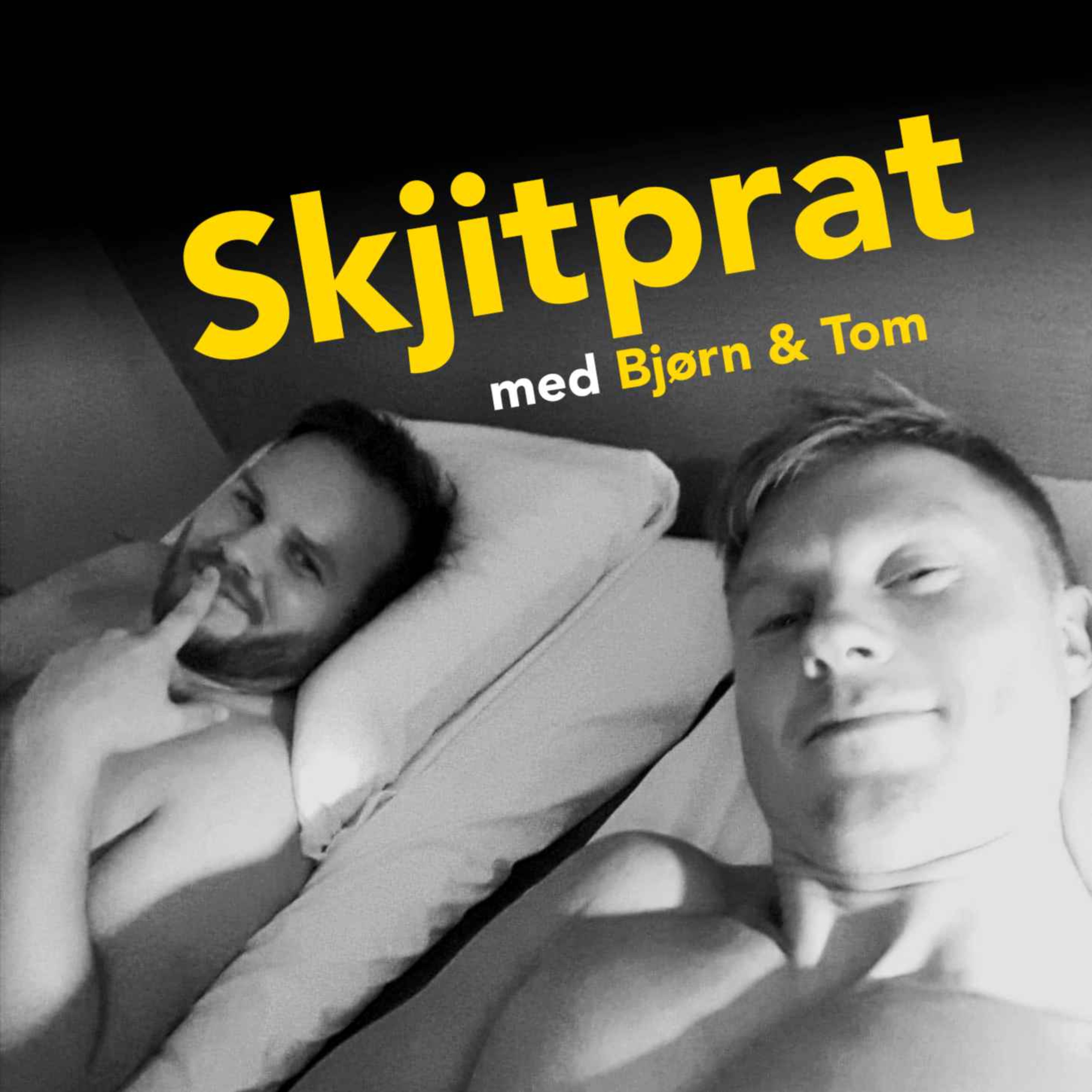 cover art for Ålebyen med de beste
