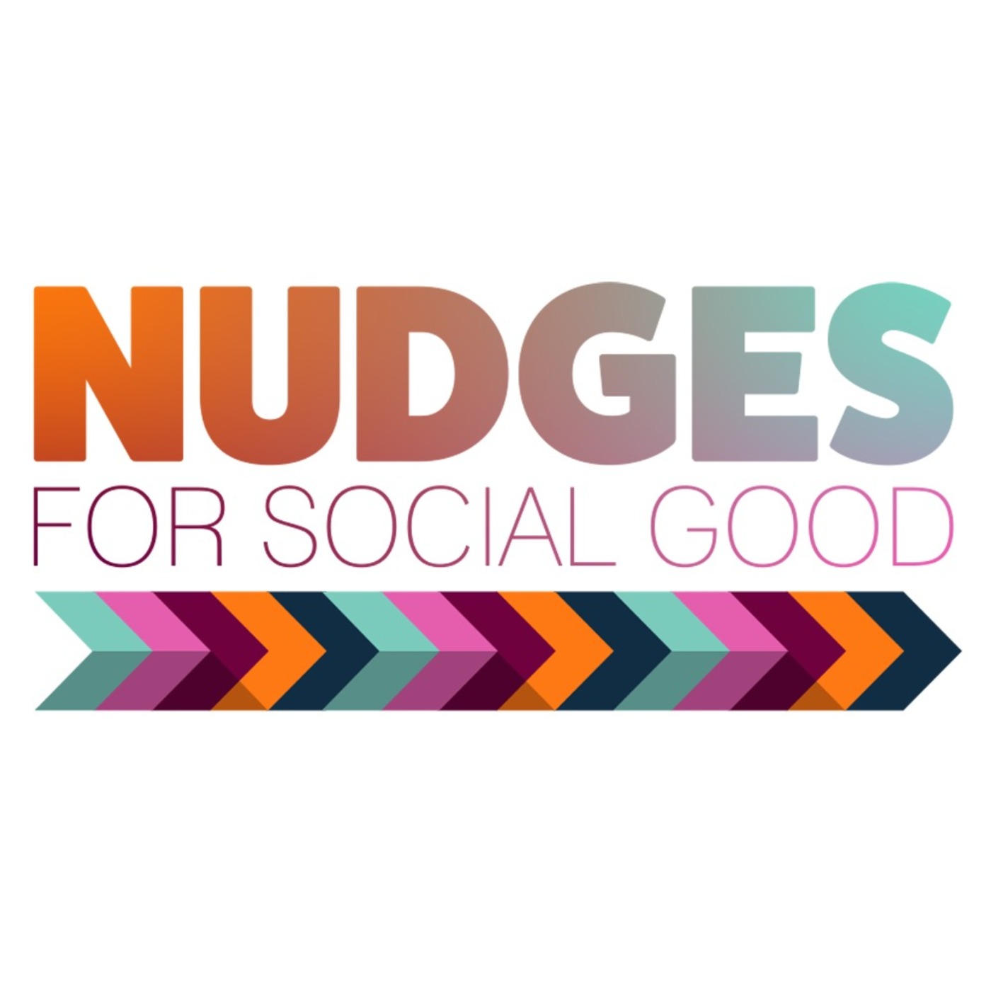 cover art for Nudges for Social Good: 1 (Barking and Dagenham)