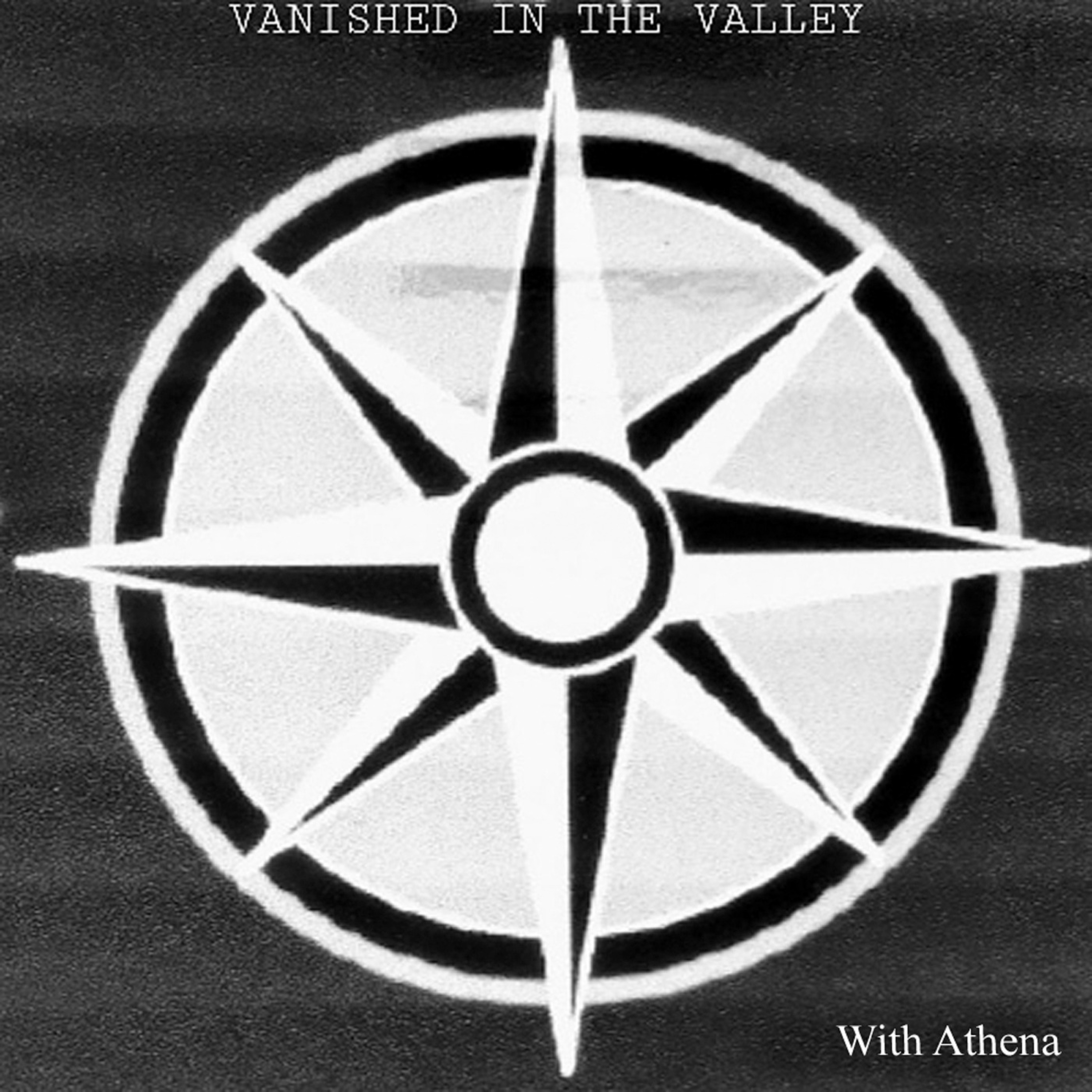 cover art for Vanished Sanity in America