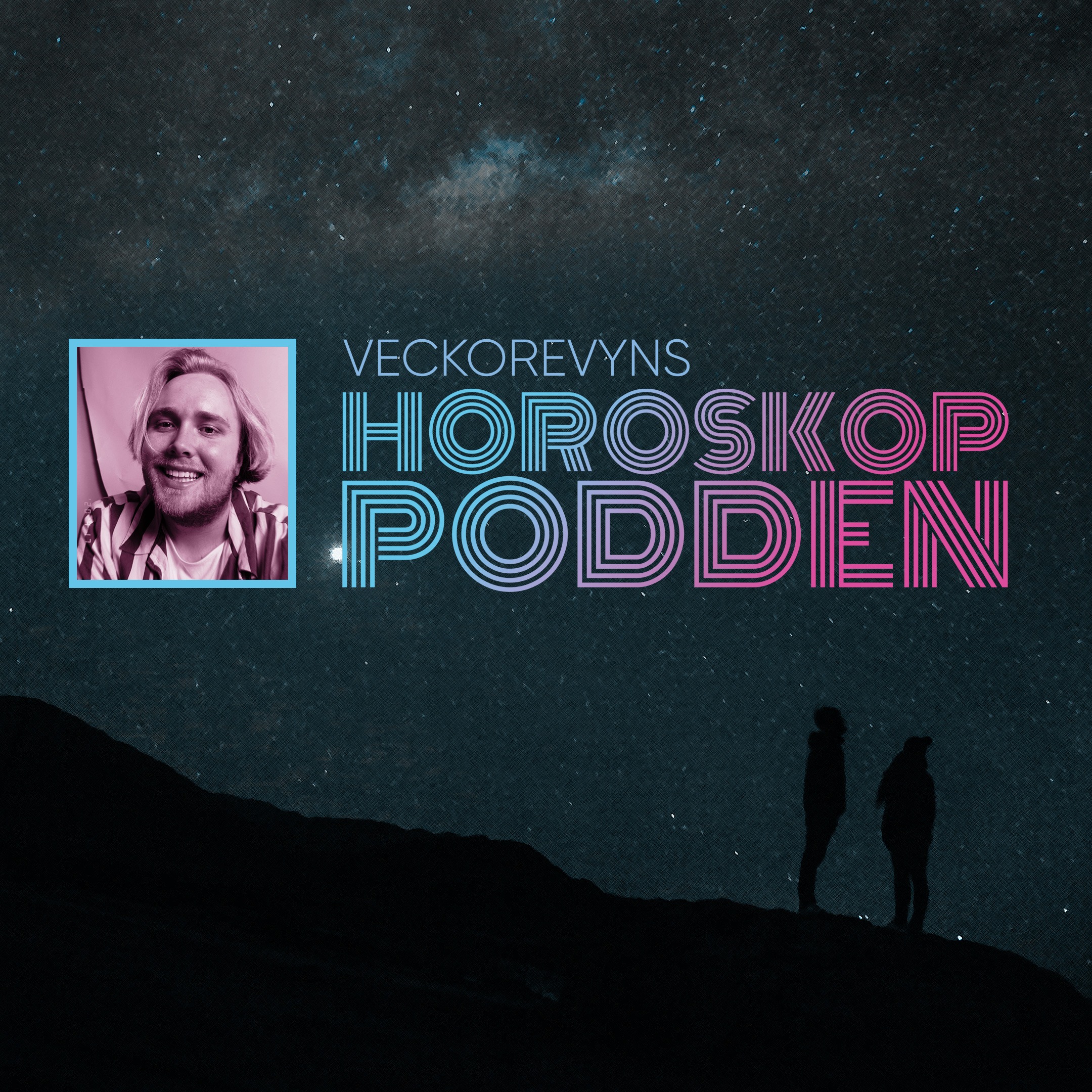cover art for Fisken Edvin Törnbloms perfekta partner