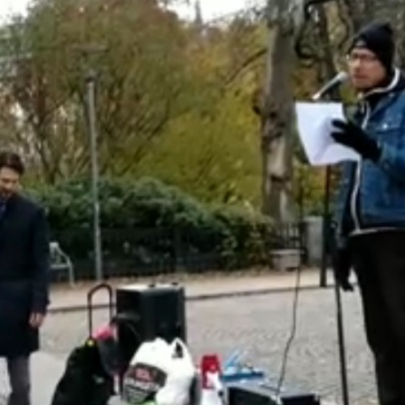 Manifestationerna