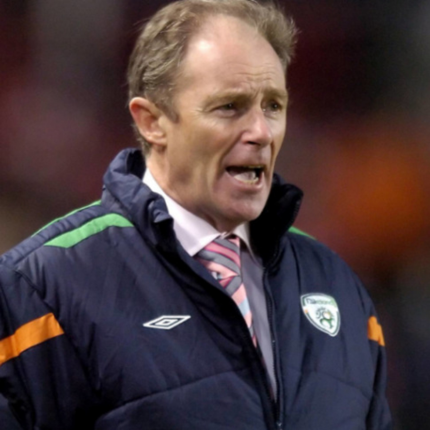 Irish Football Fans