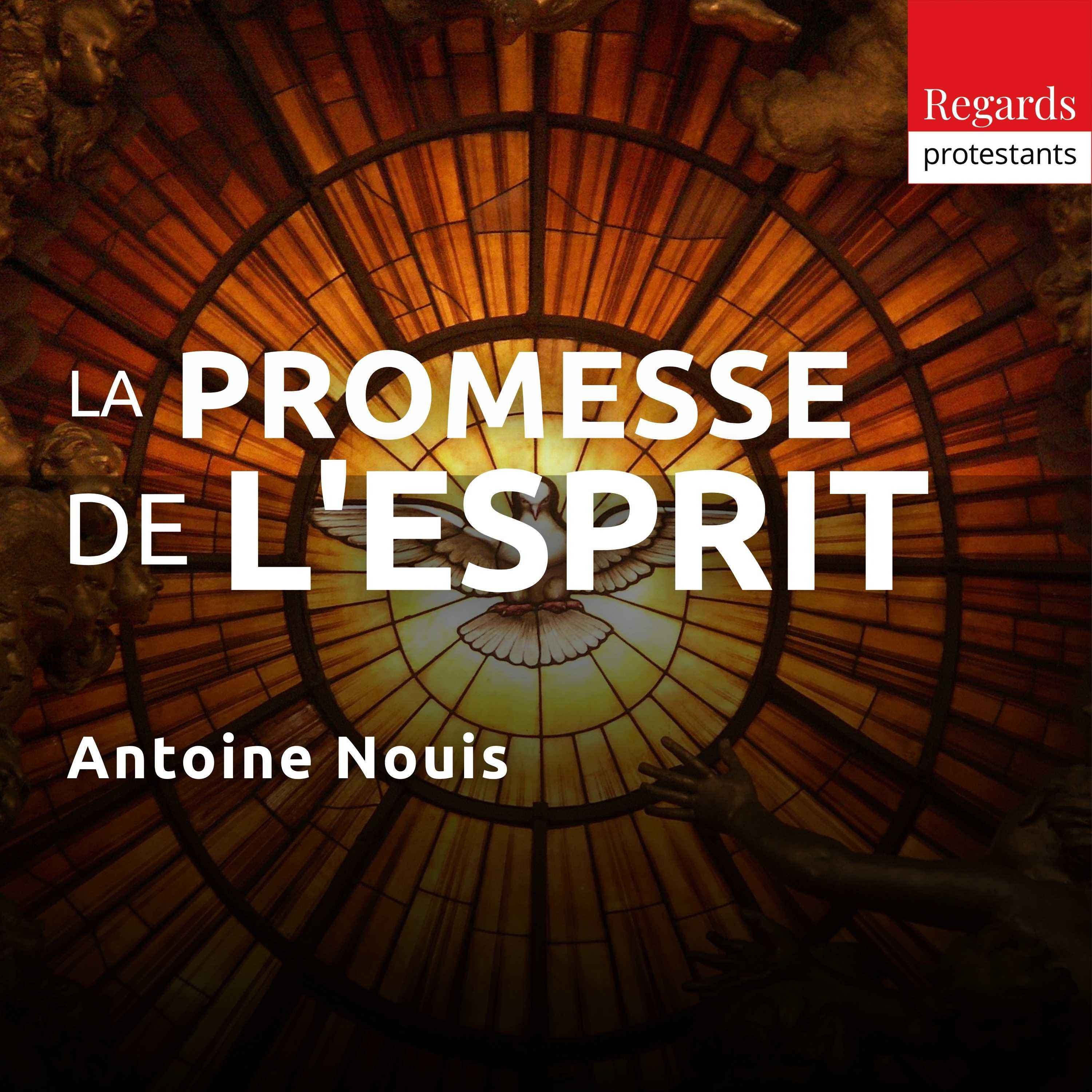 Évangile du dimanche - Regards protestants