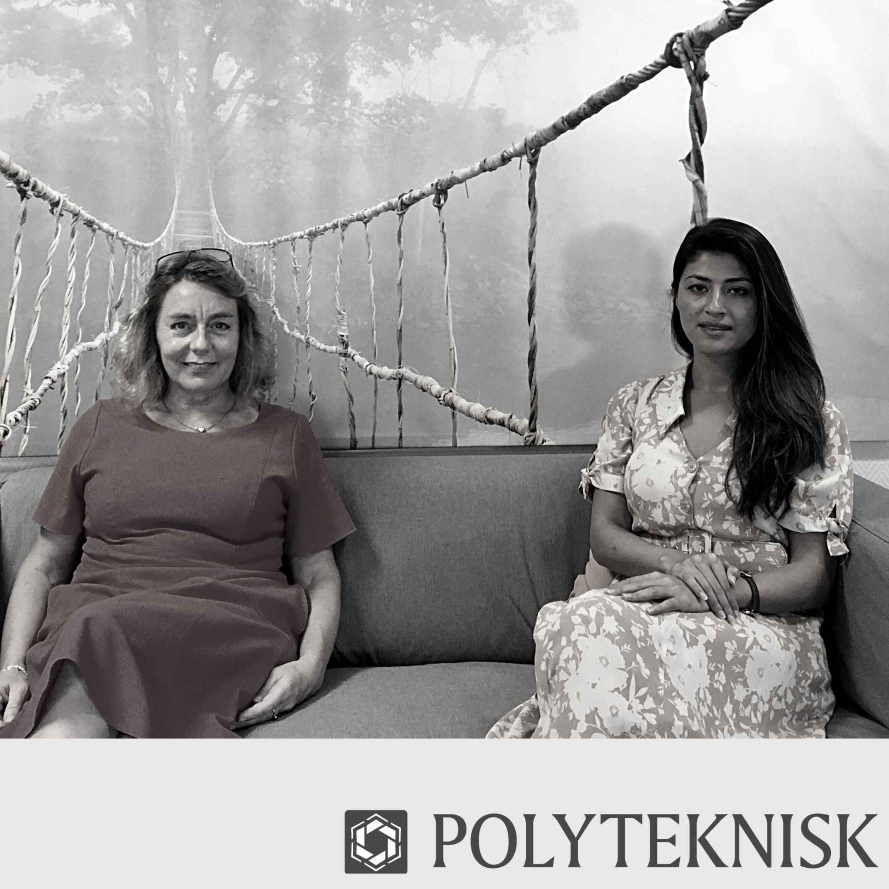cover art for  Snakk om sosial bærekraft! PolyPolitikk fra Arendalsuka
