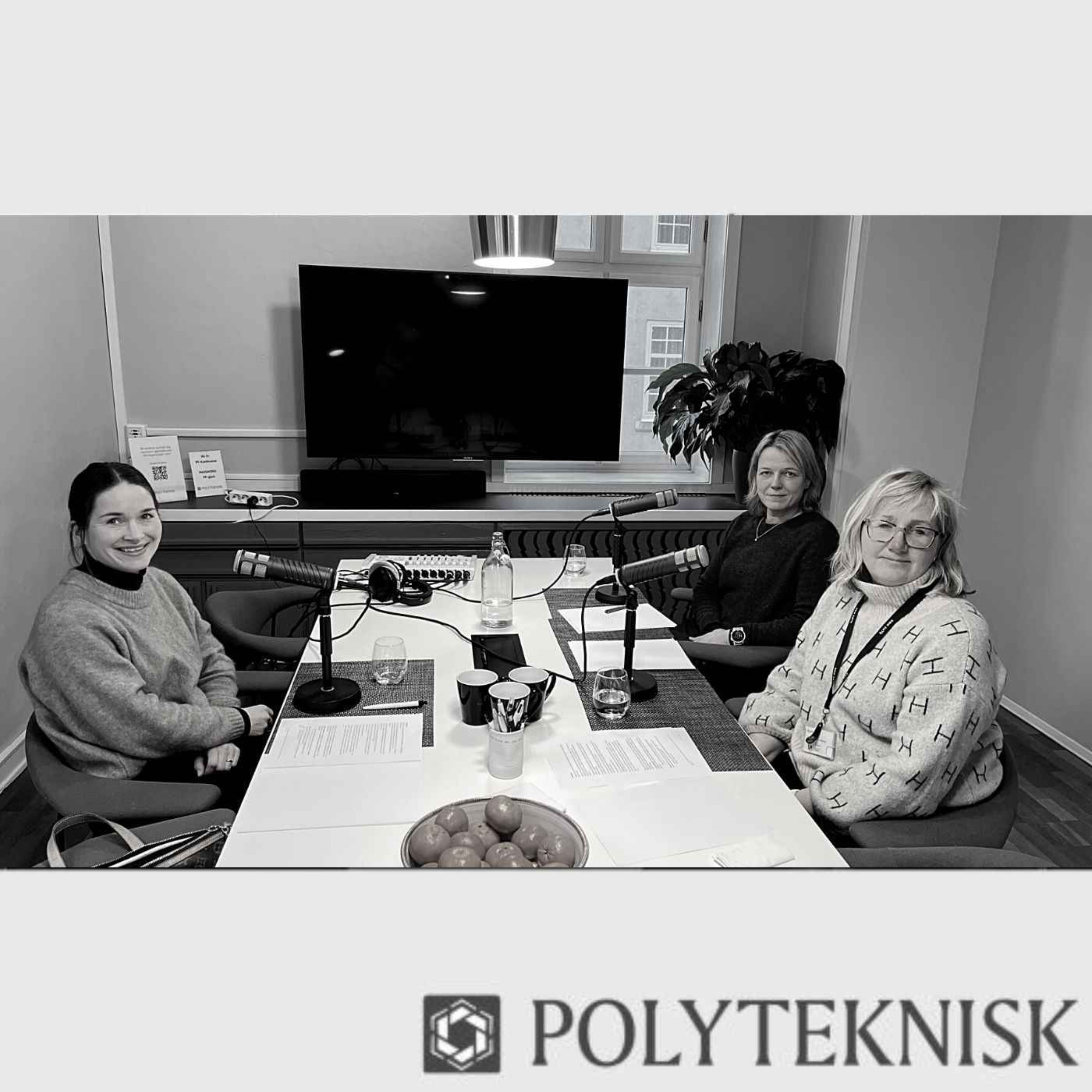 cover art for #PolyPod: Lys i tunnelen for Follobanen 