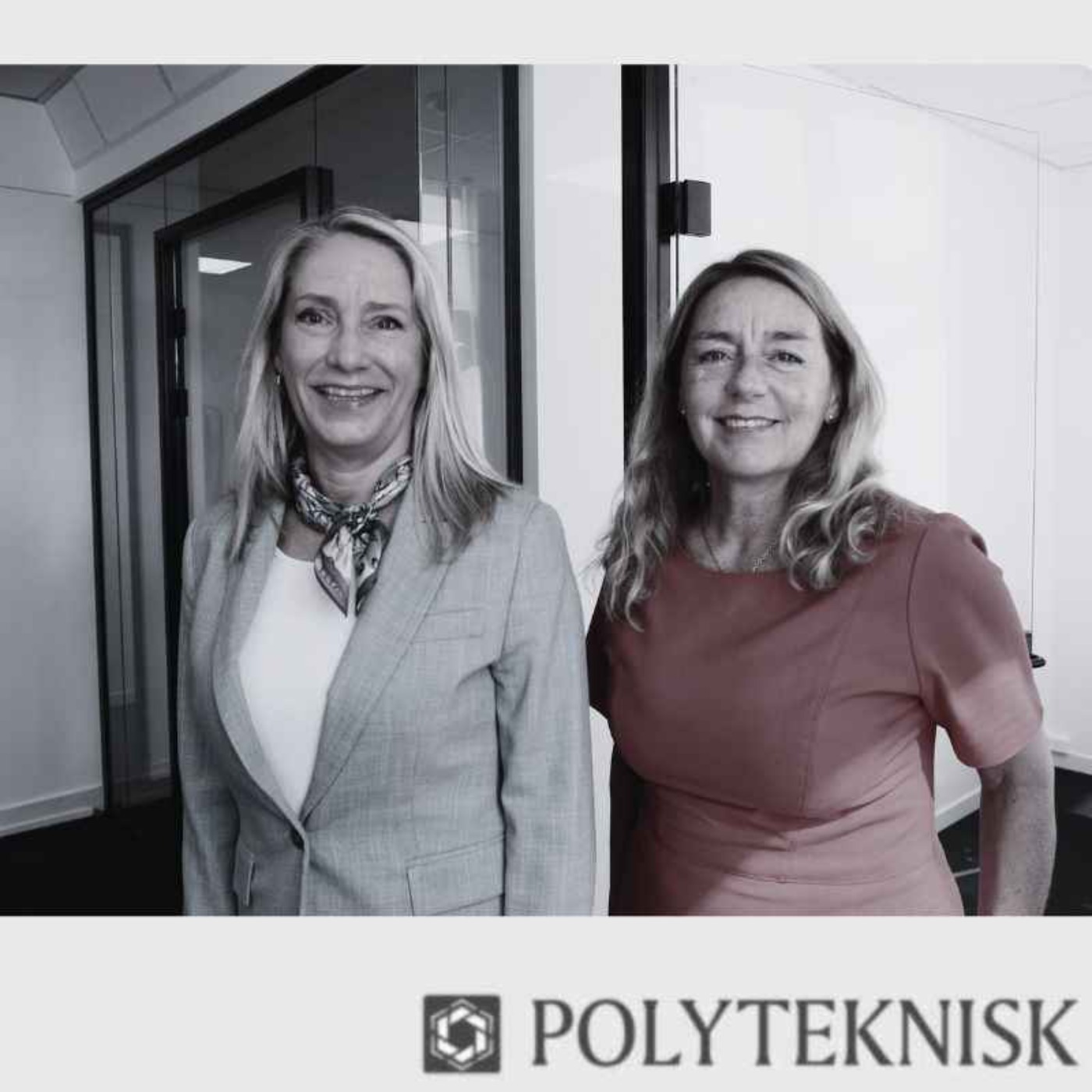 #PolyPod: Snakk om og opp industrien vår! episode artwork