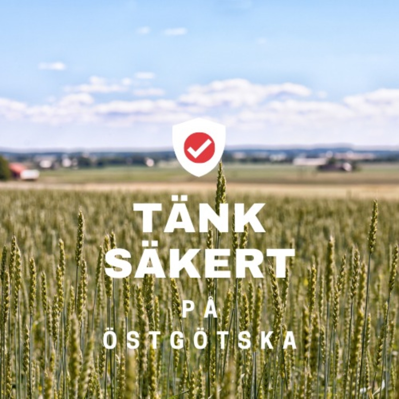 cover art for Tänk säkert på östgötska - säkra lösenord med Karl Emil Nikka