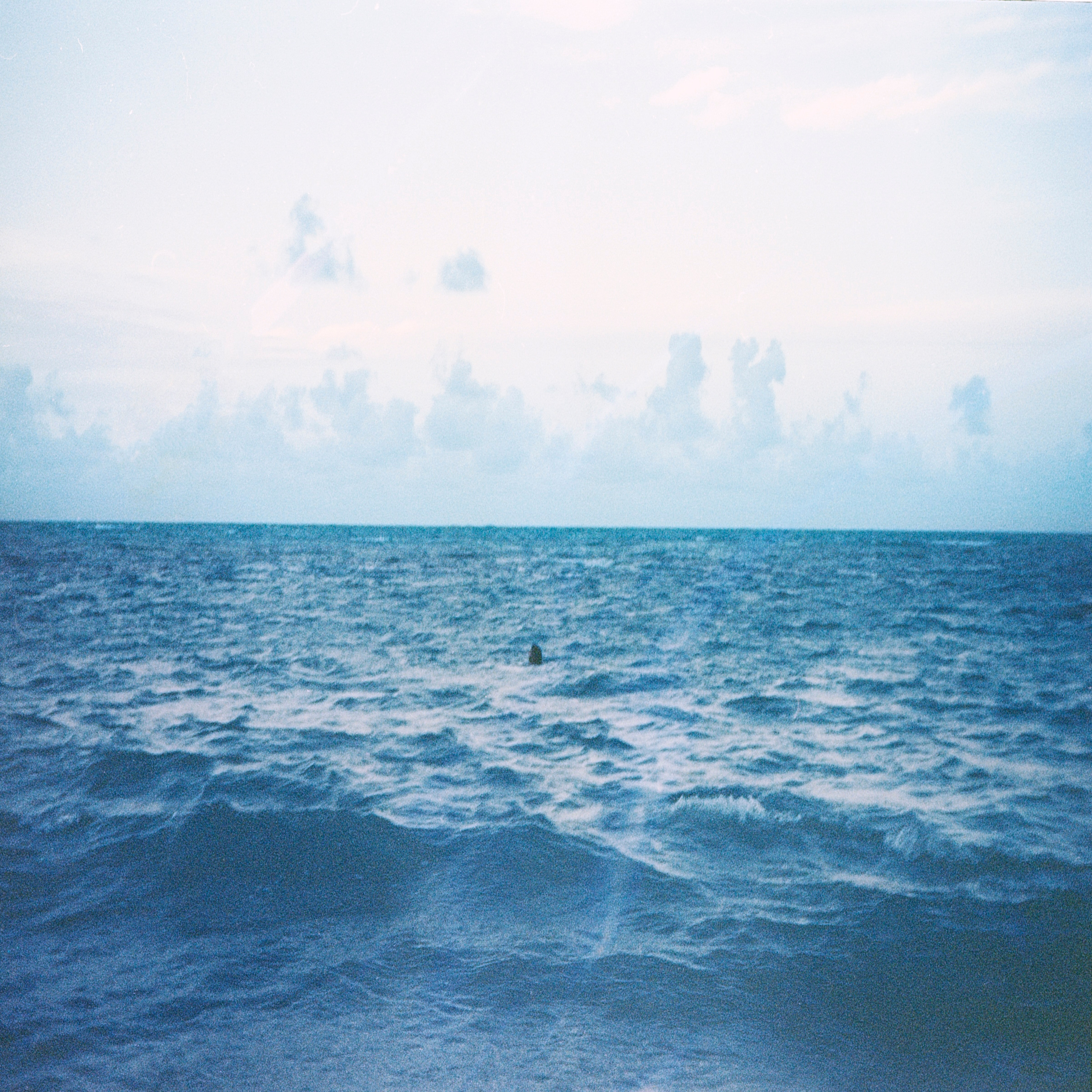 Sasha Phyars-Burgess: Everything Nice