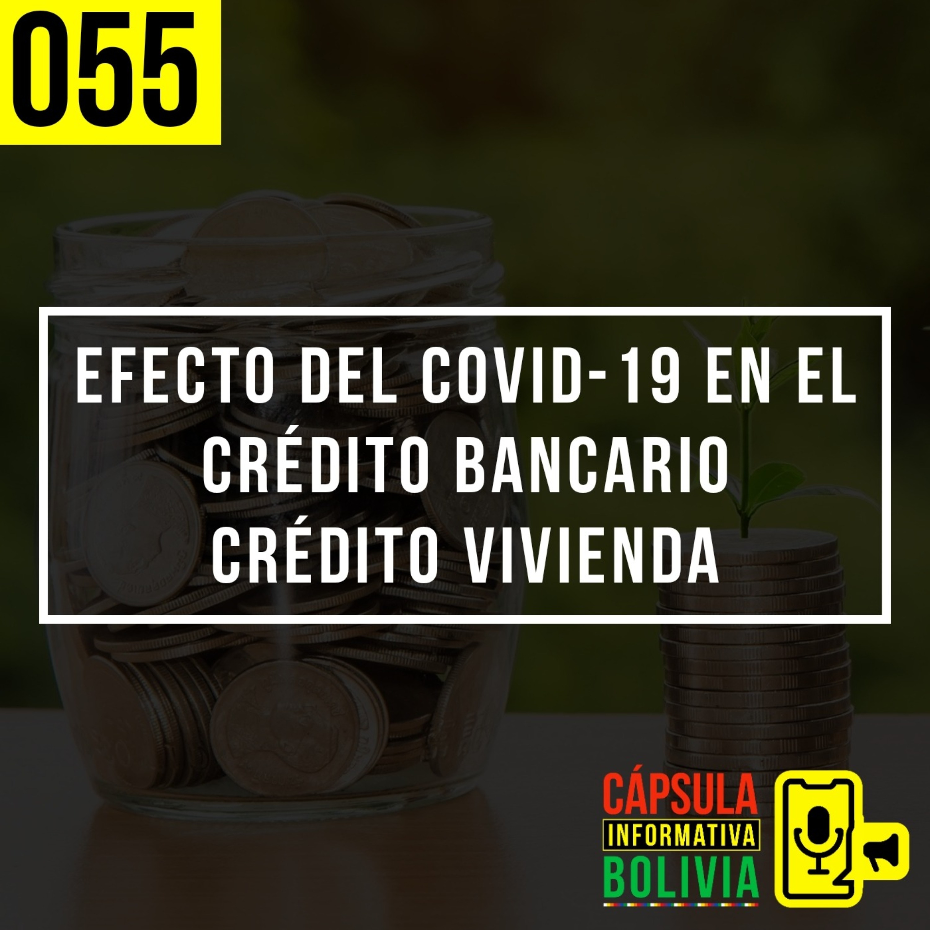 055 | Efecto del Covid-19 en el crédito bancario - Crédito vivienda episode artwork