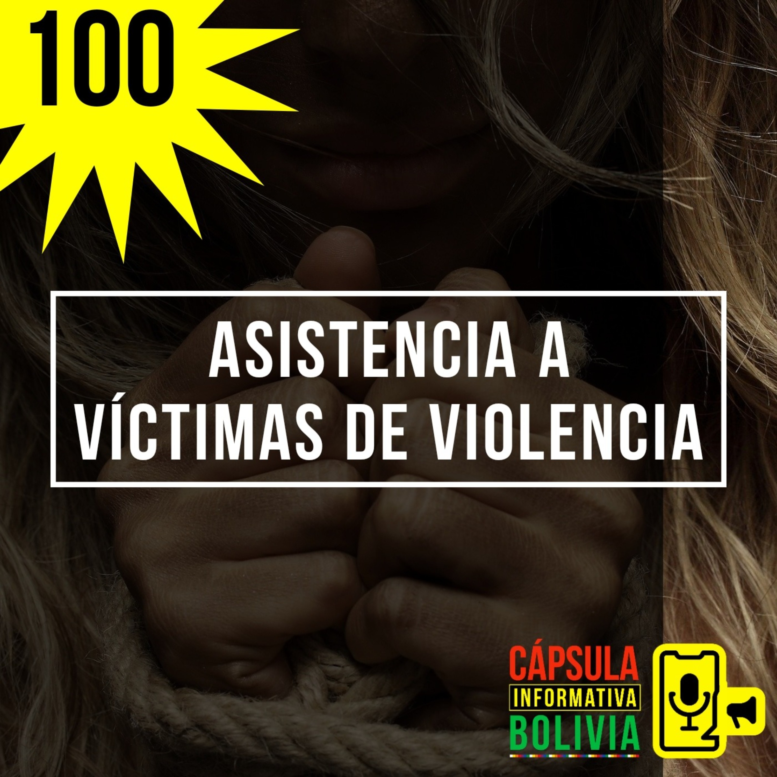 Cápsula Informativa Bolivia