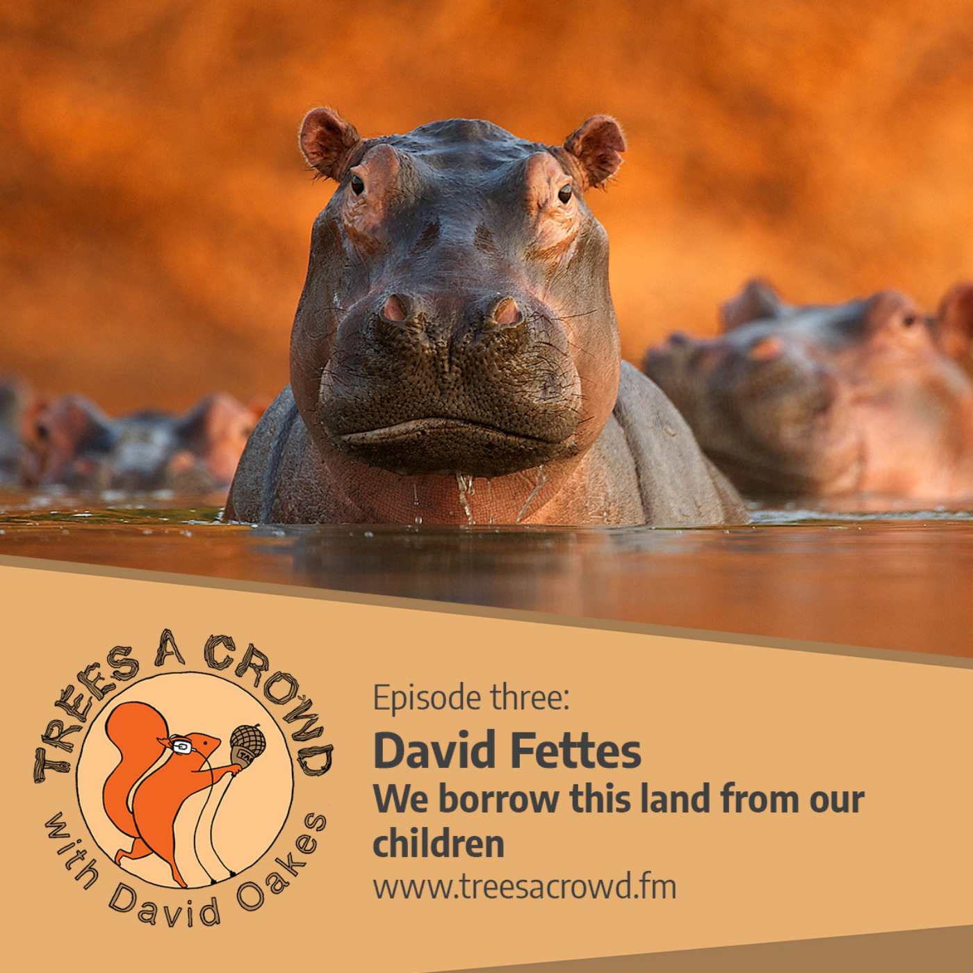 cover art for David Fettes: Going against the crowd - and the best moment to press the button
