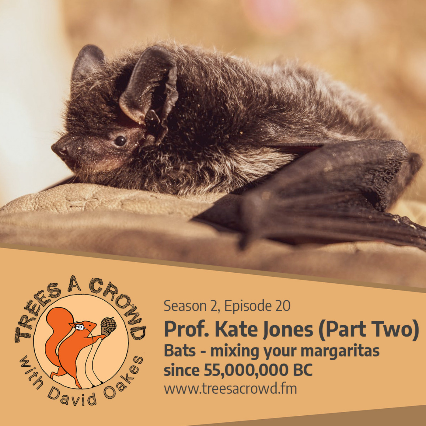 Prof. Kate Jones (Part Two): Bats - mixing your margaritas since 55,000,000 BC