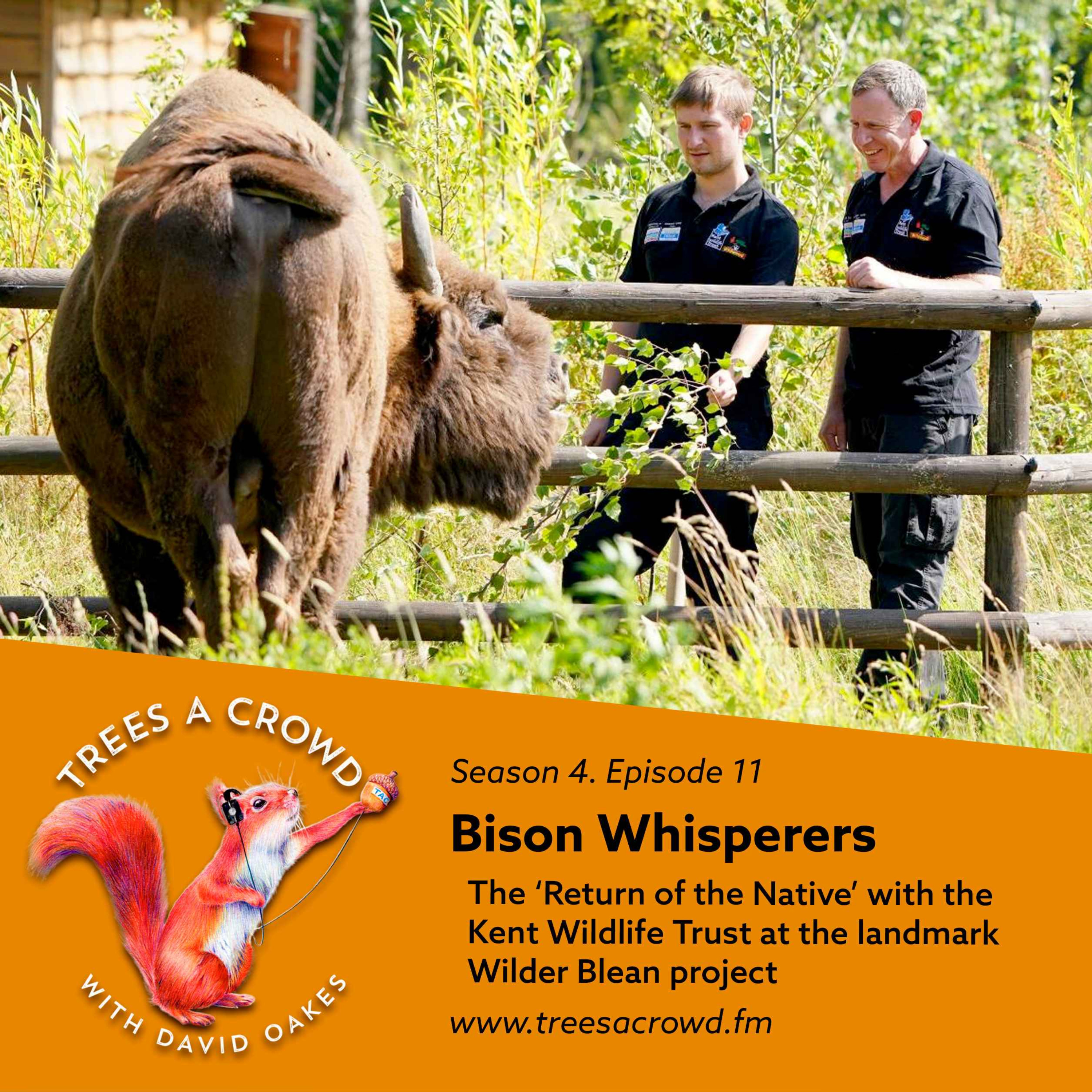 Bison Whisperers: The Return of the Native