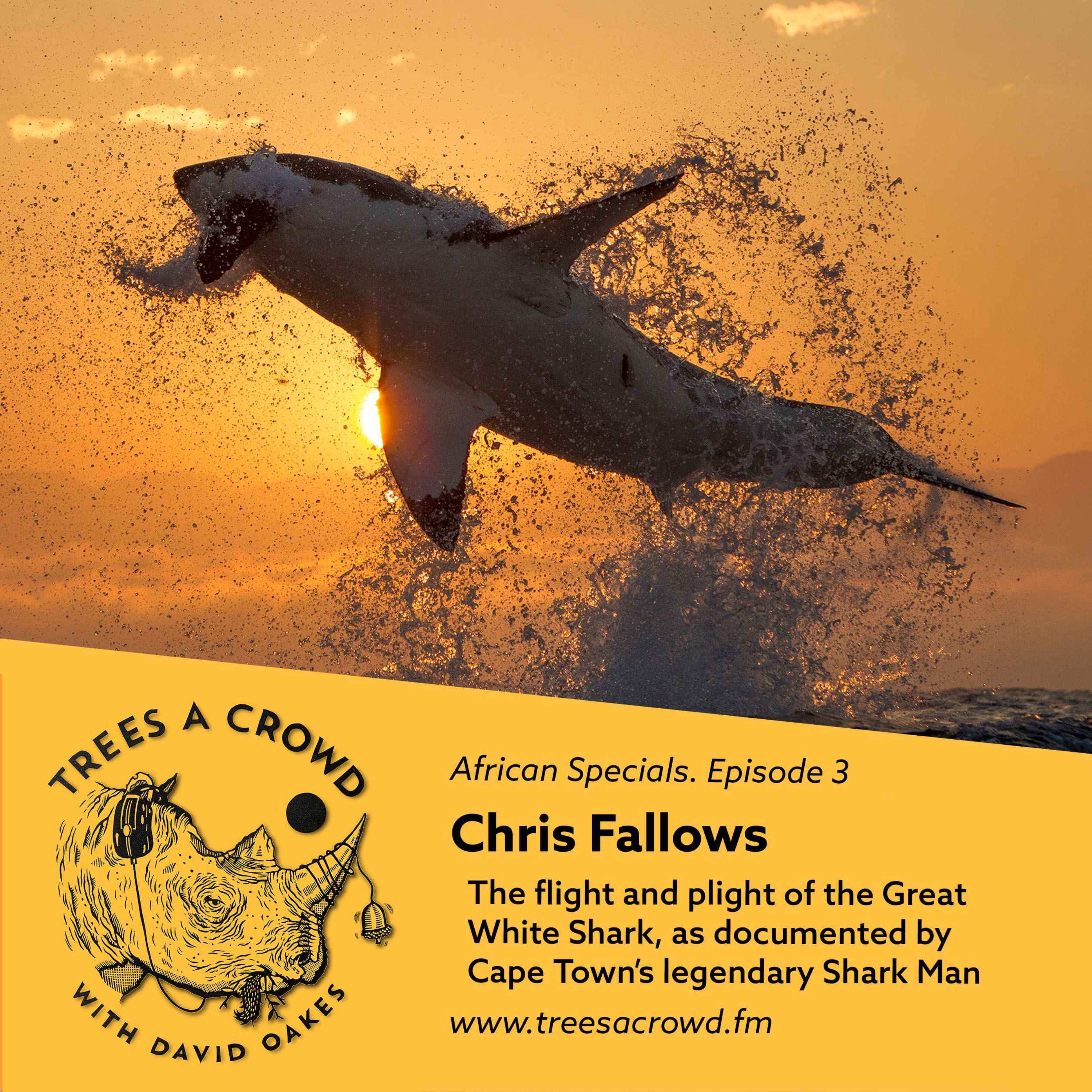 cover art for Chris Fallows: The flight and plight of the Great White Shark, as documented by Cape Town’s legendary Shark Man