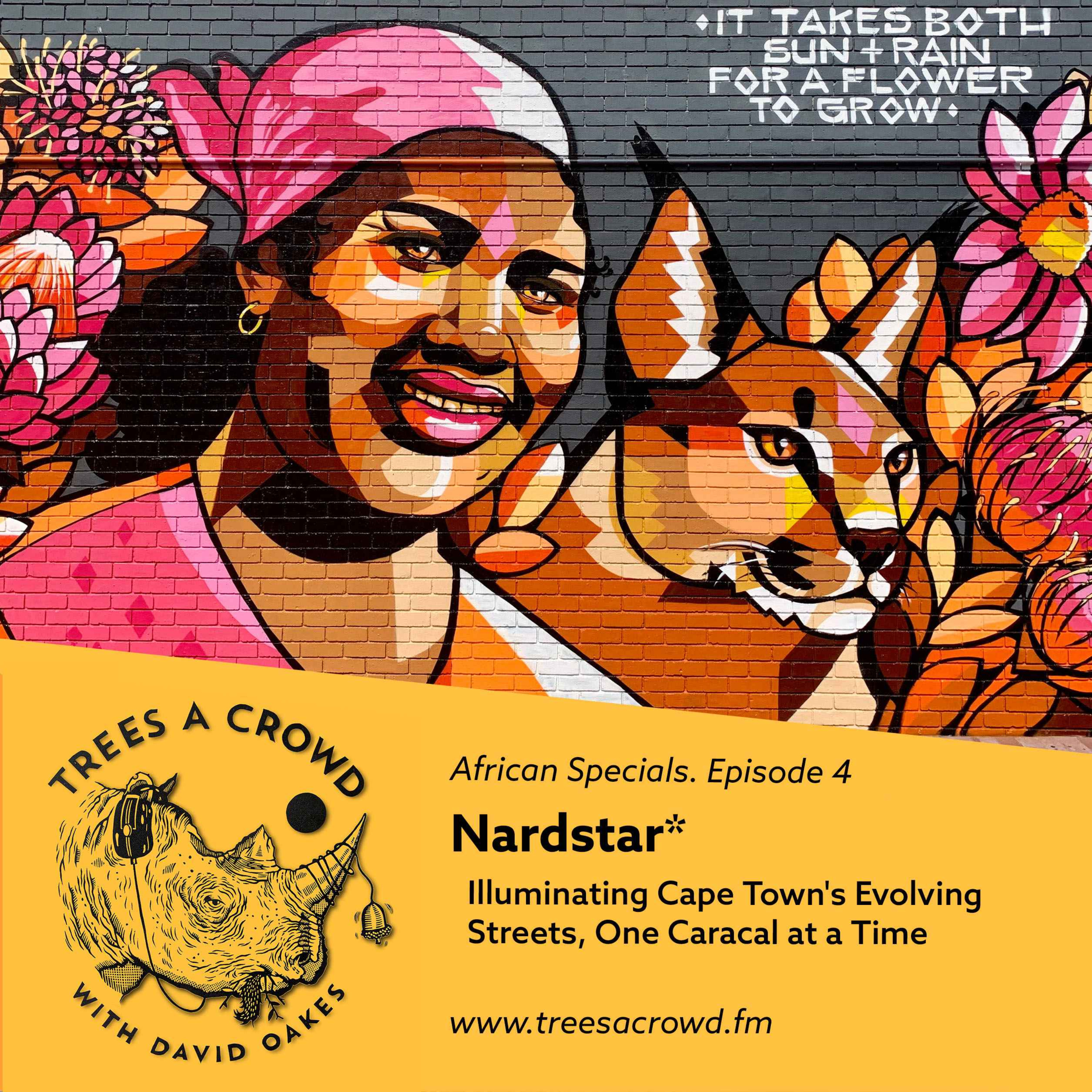 cover art for Nardstar*: Illuminating Cape Town's Evolving Streets, One Caracal at a Time