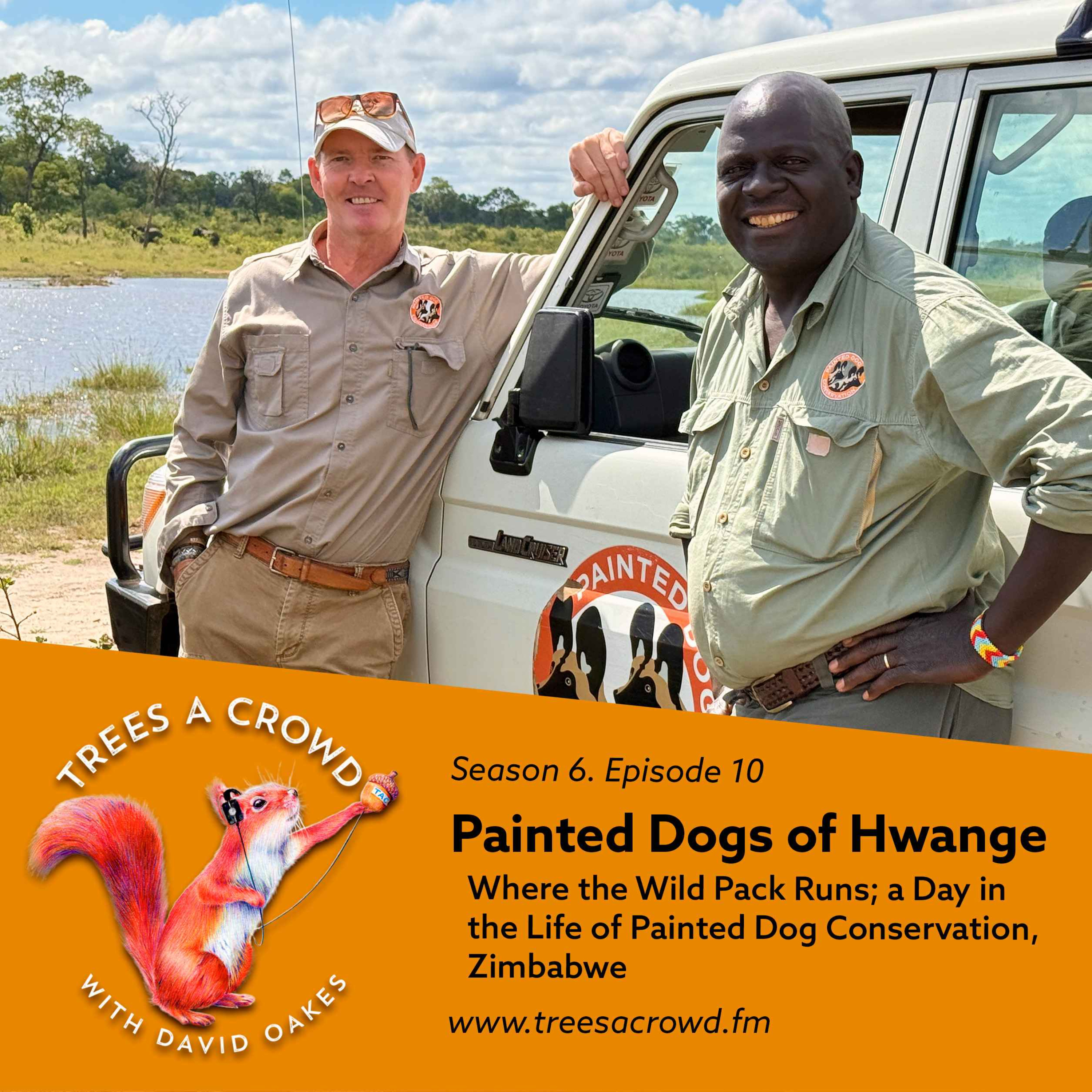 Painted Dogs of Hwange: Where the Wild Pack Runs episode artwork