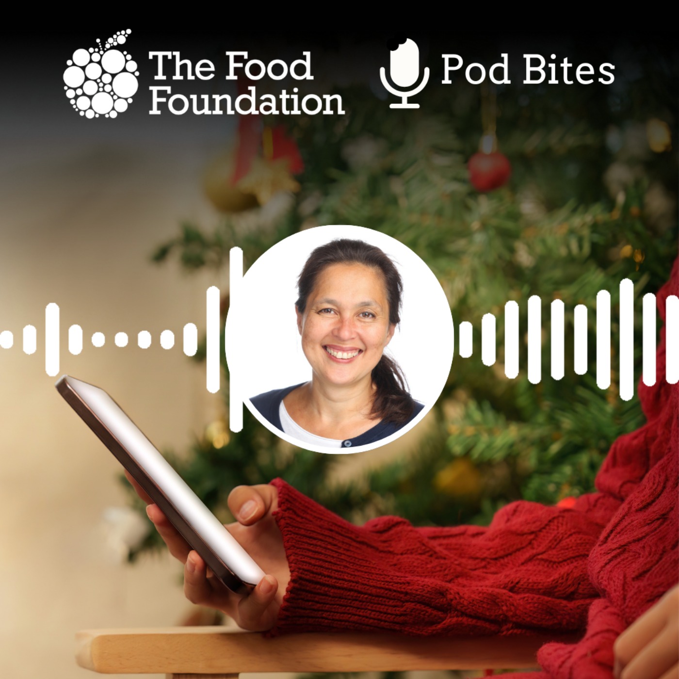 Pod Bites: Christmas on a shoestring episode artwork