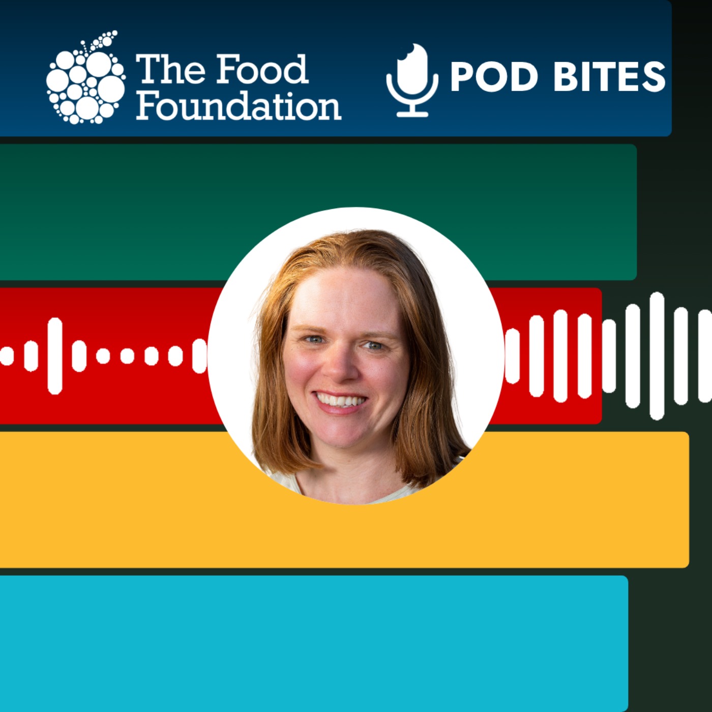 Pod Bites: Public appetite for changing food episode artwork