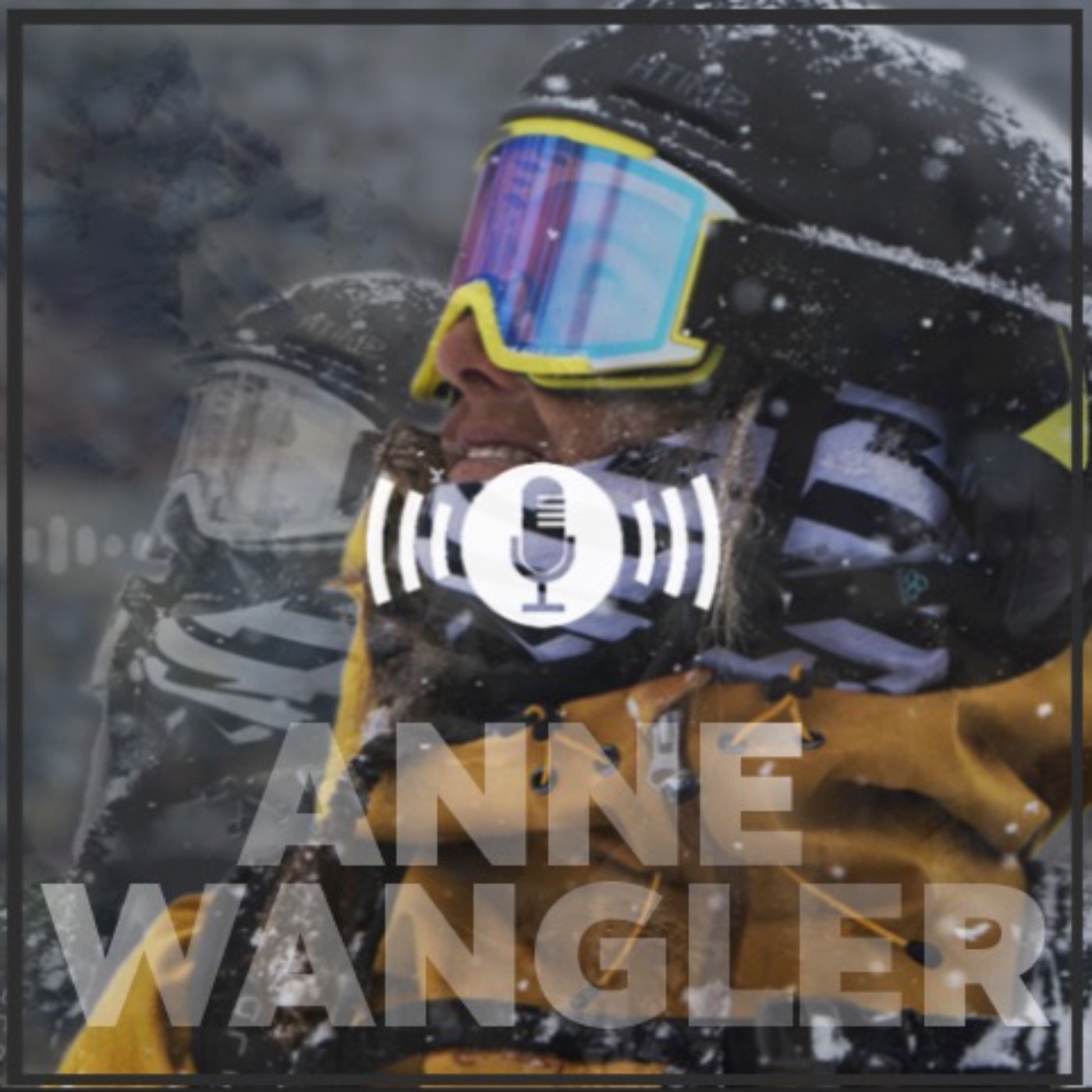 Anne Wangler - Resilience & Recovery