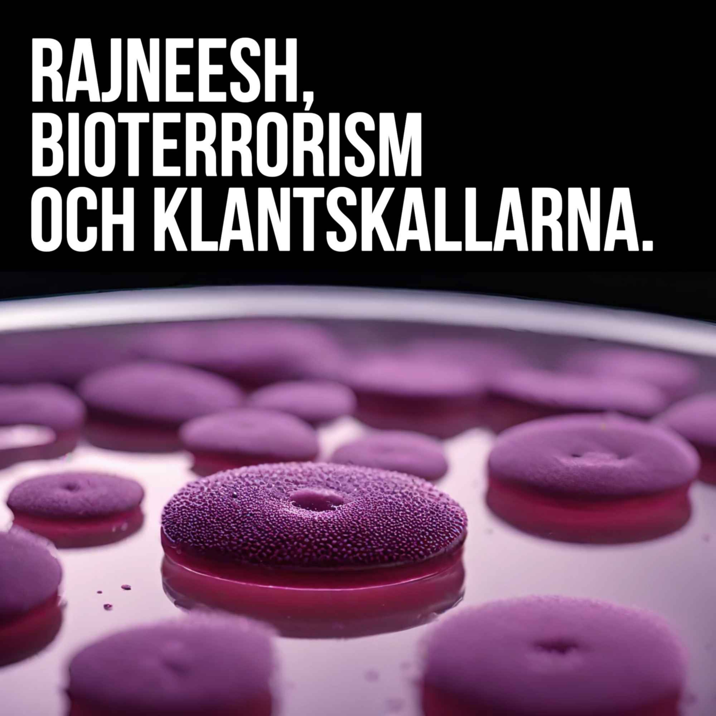 Nätets mörka sida