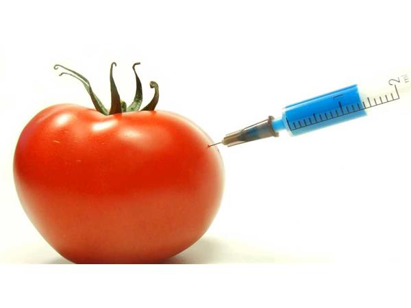 What is Organic and What Isn't feat. @BeauTflGorgeous