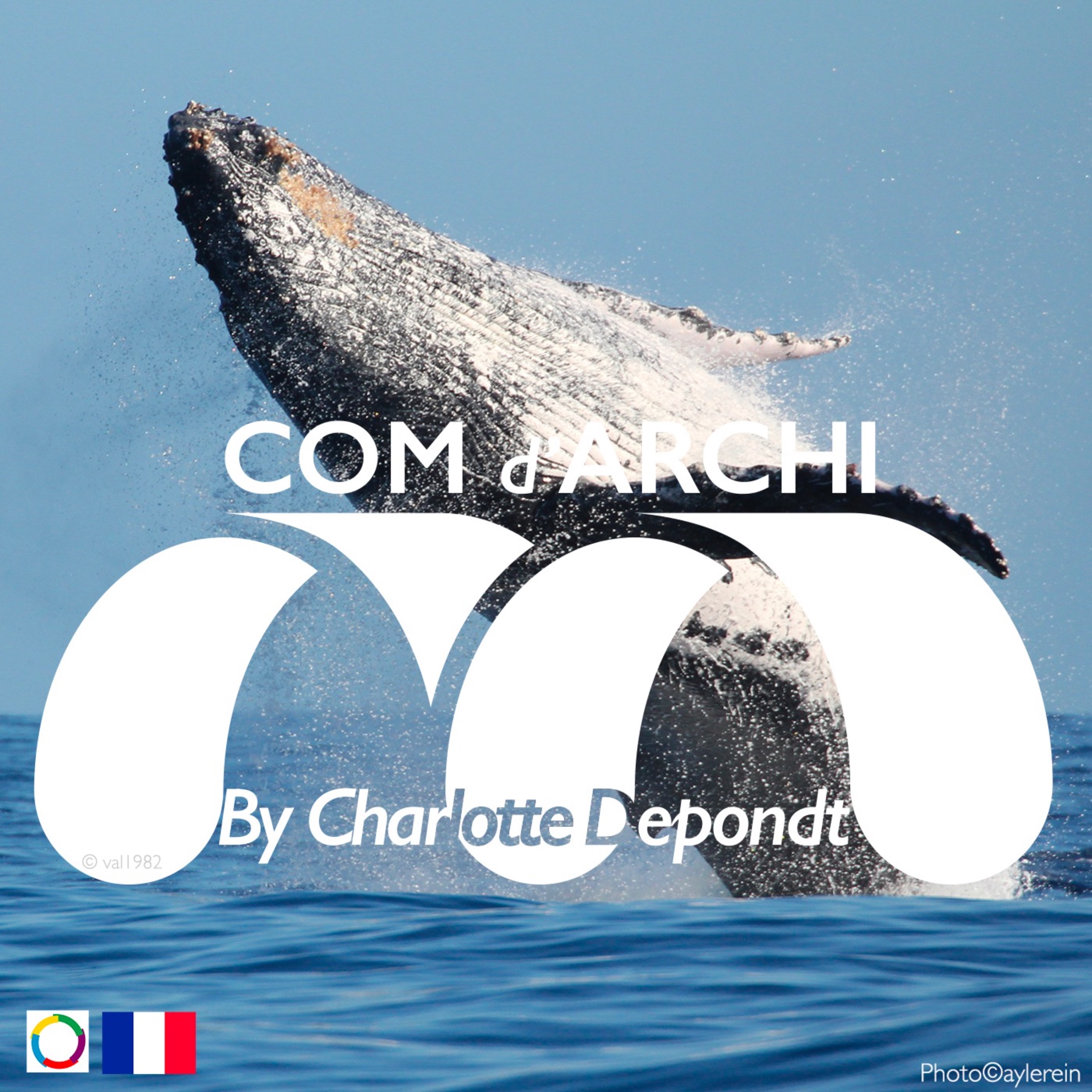 Com d\'Archi