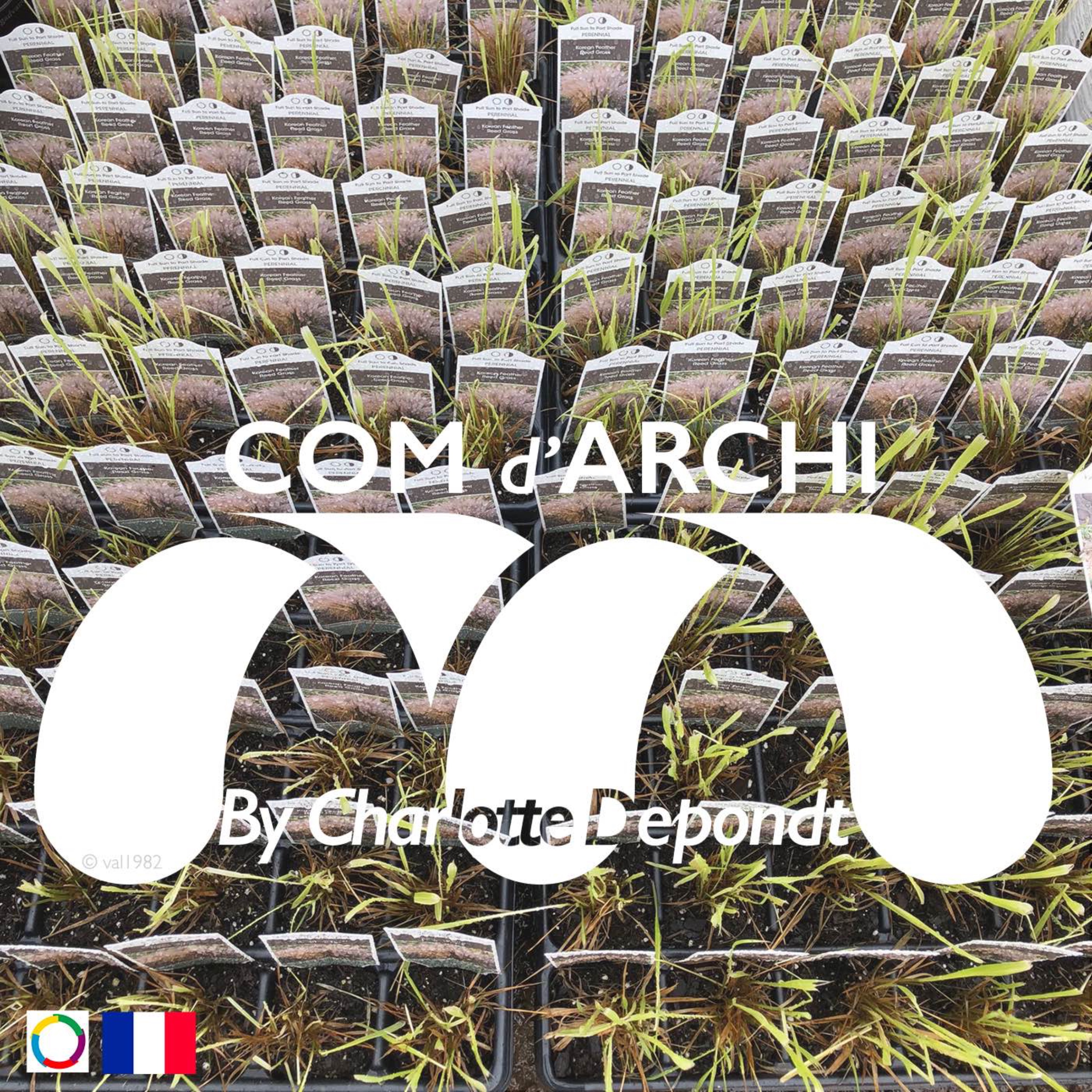 Com d\'Archi