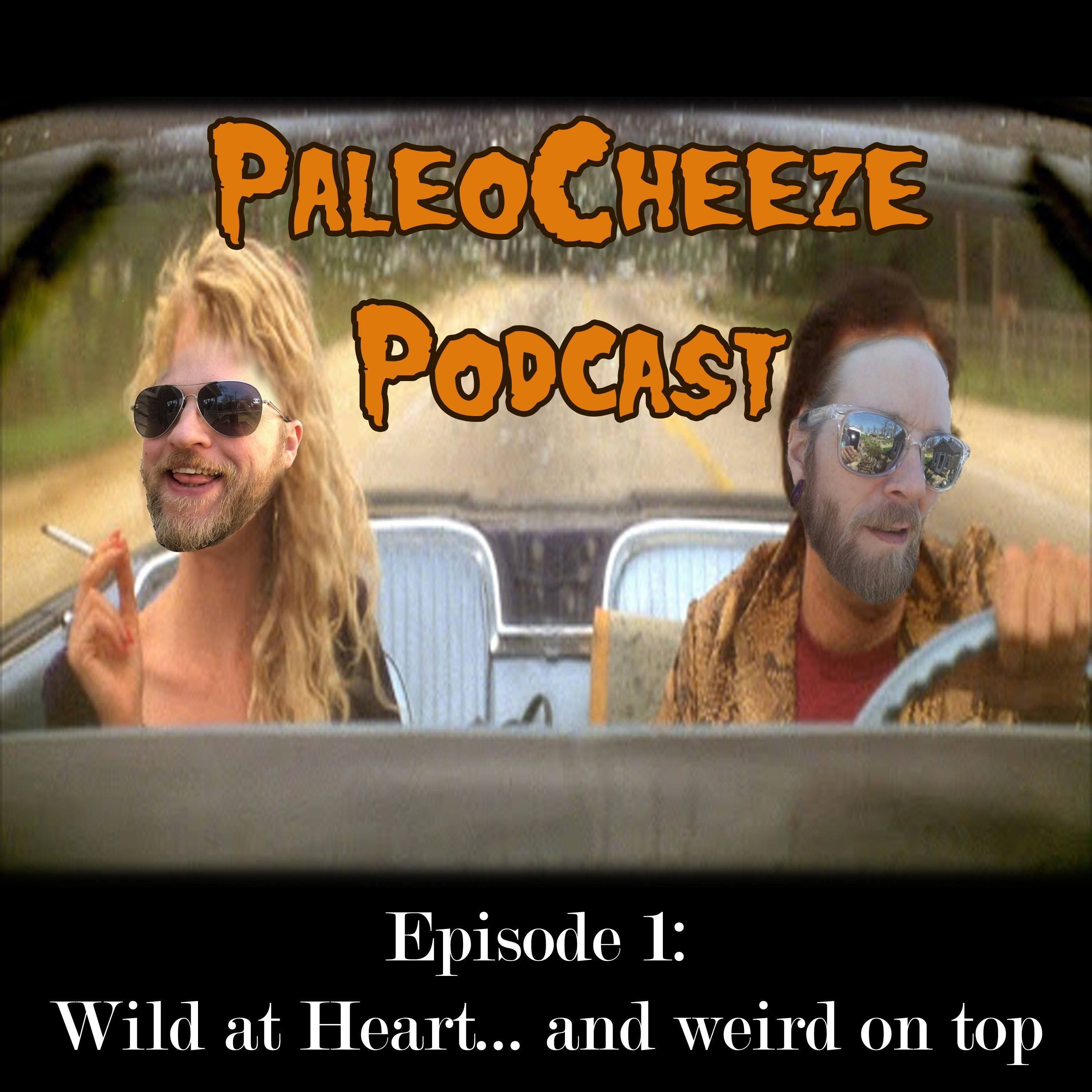 cover art for Episode 1 - Wild at Heart 