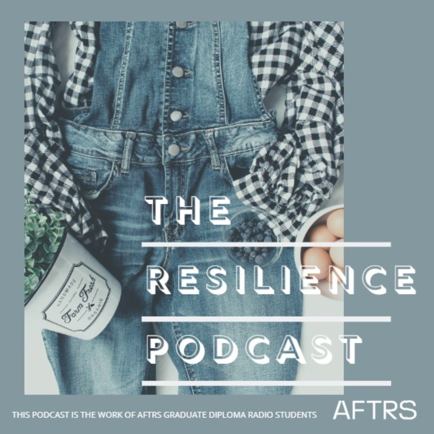cover art for The Resilience Podcast  - Episode 4